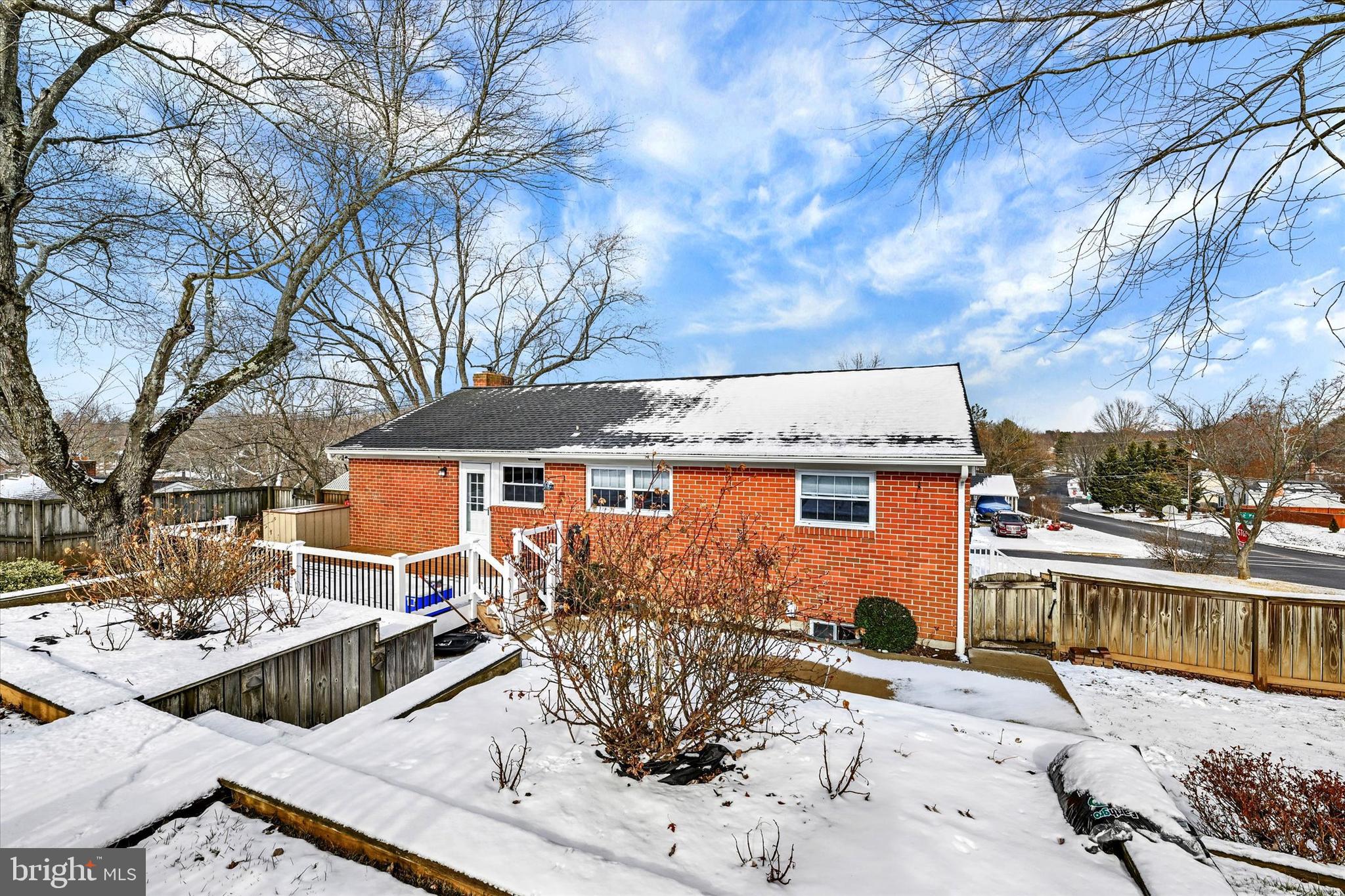 SHAMROCK - Residential