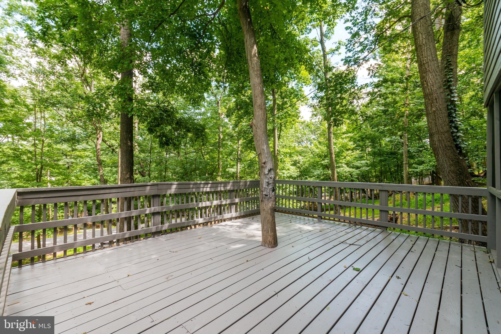 THE WOODS RESORT - Residential