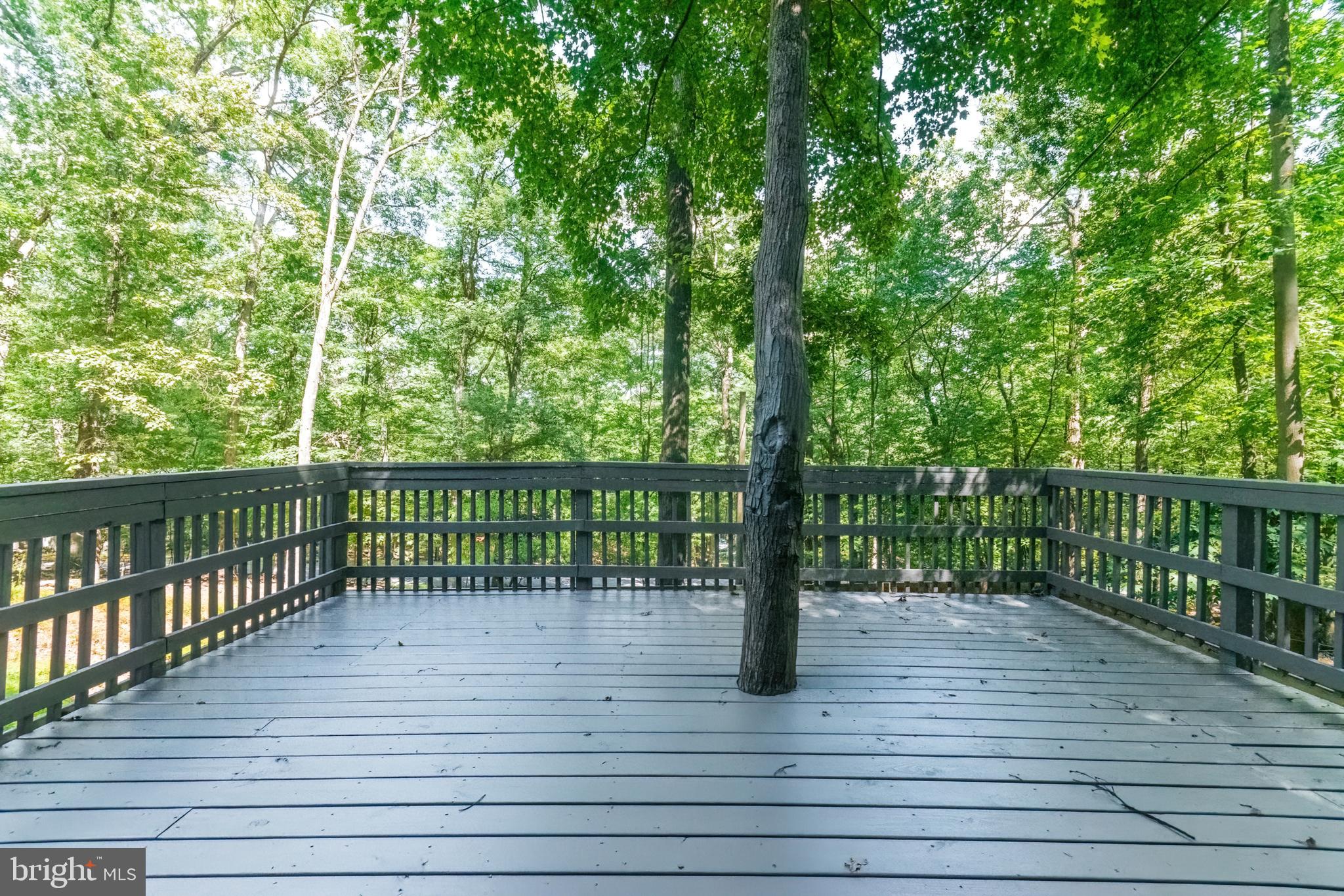 THE WOODS RESORT - Residential