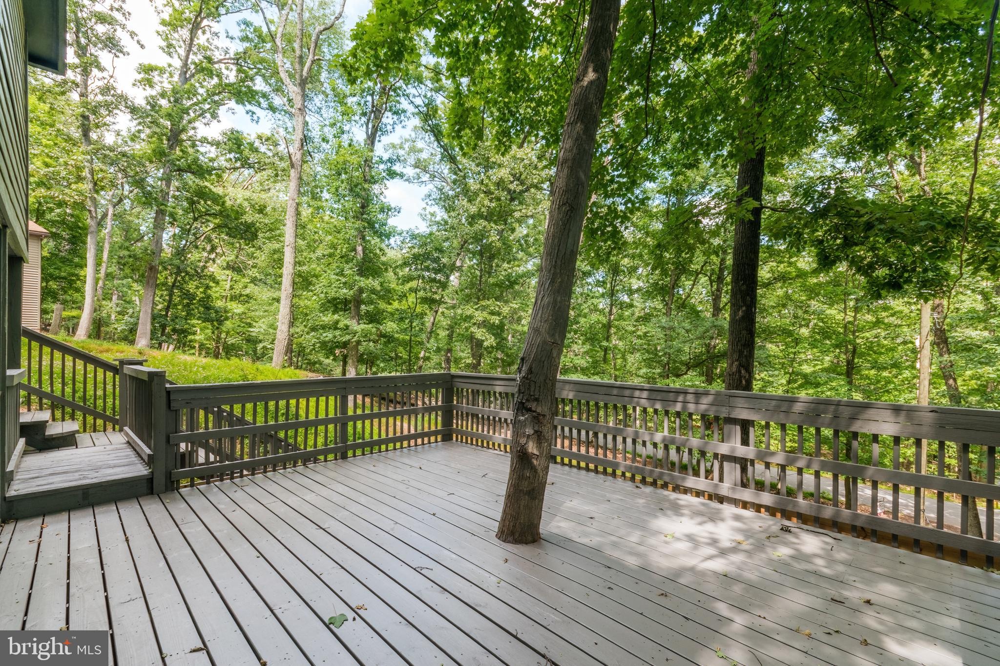 THE WOODS RESORT - Residential