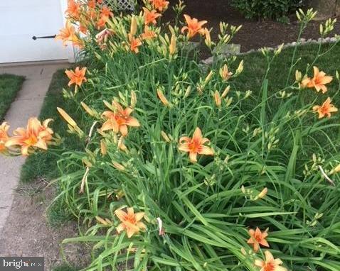 GRANDVIEW HEIGHTS - Residential