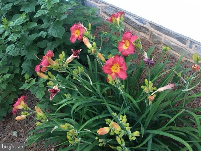 GRANDVIEW HEIGHTS - Residential