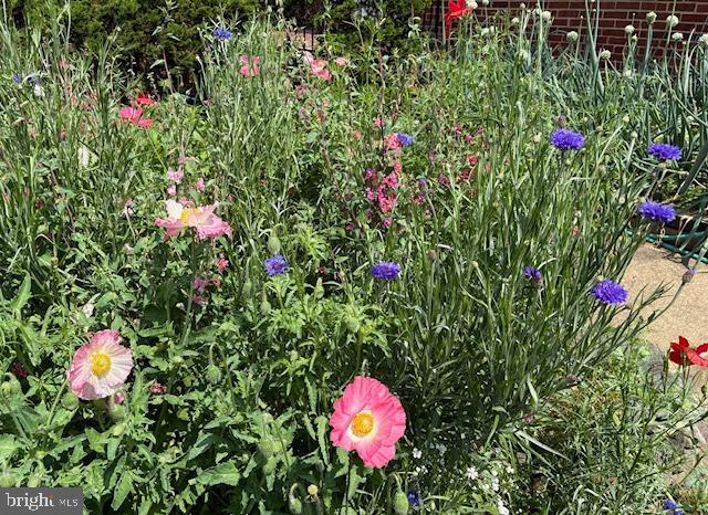 ROCK SPRING - Residential