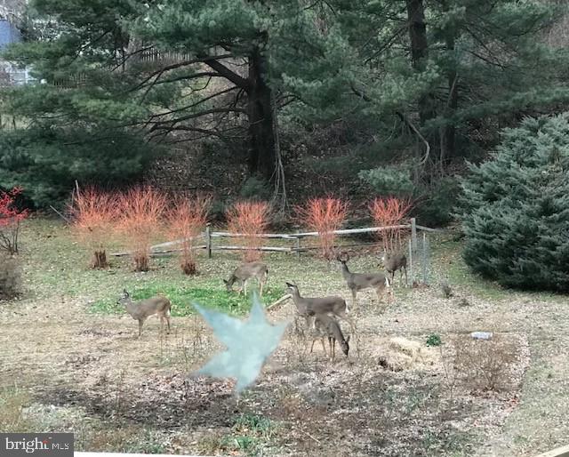 ROCK SPRING - Residential