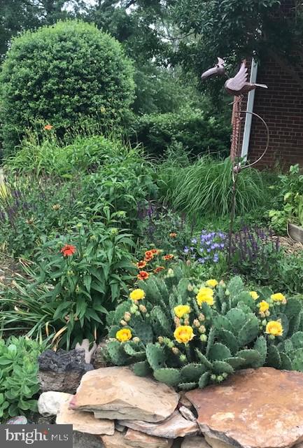 ROCK SPRING - Residential