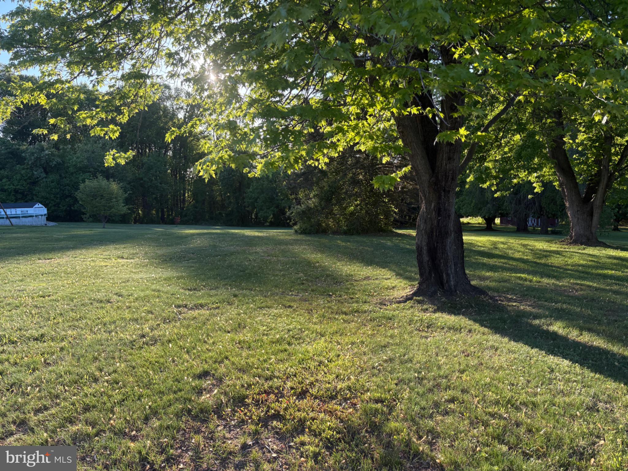 LIBERTY GROVE ROAD
