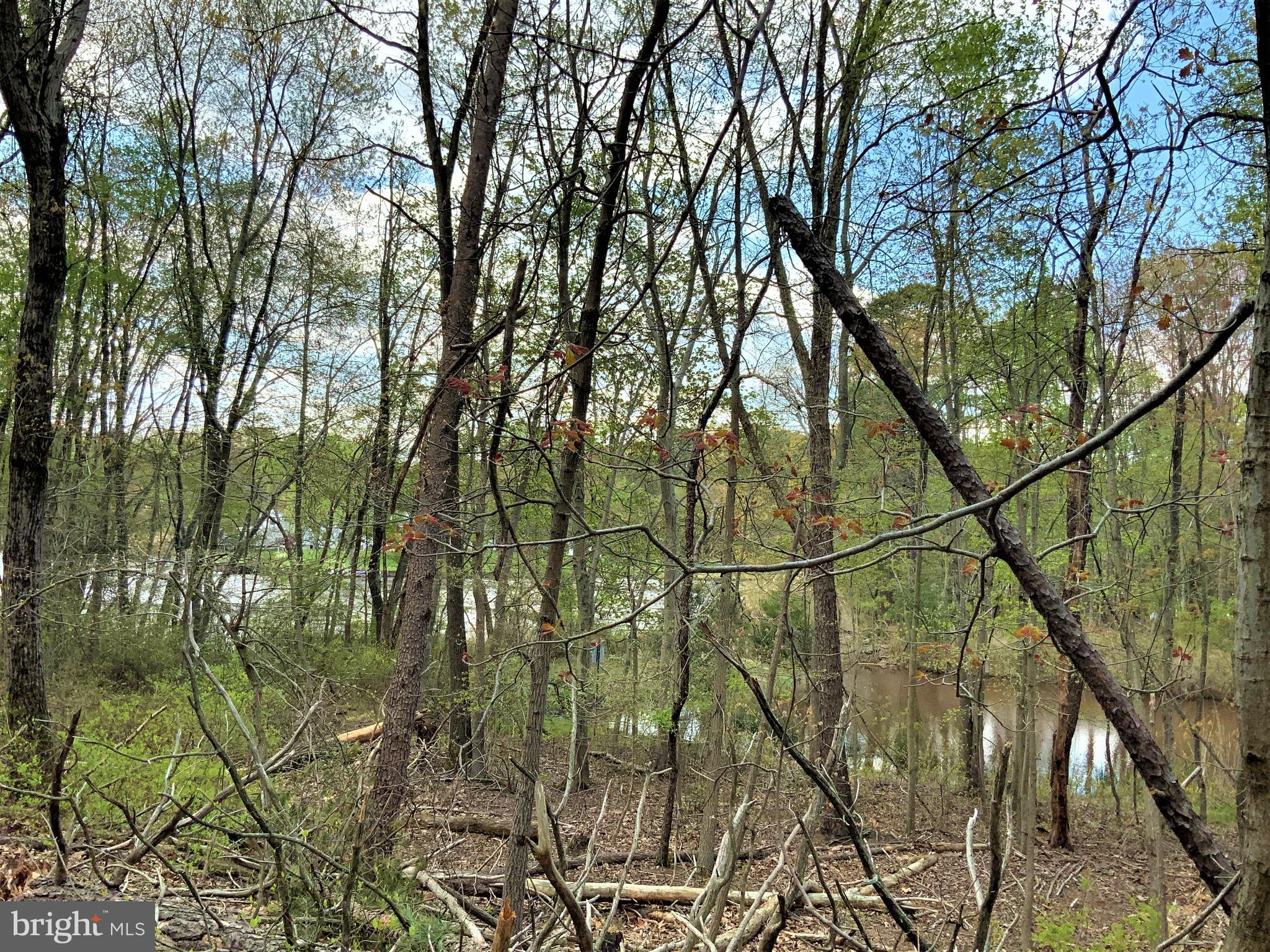 SYLVAN VIEW ON MAGOTHY - Residential