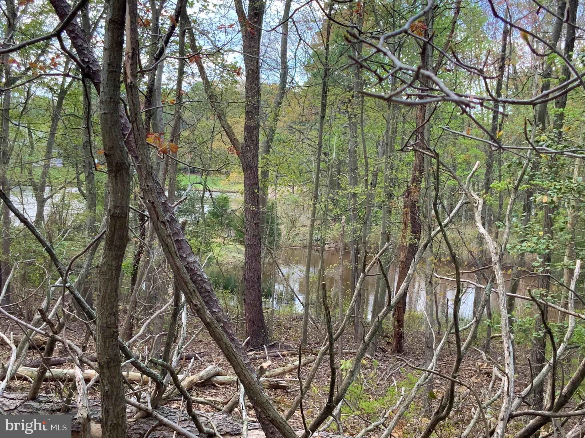 SYLVAN VIEW ON MAGOTHY - Residential