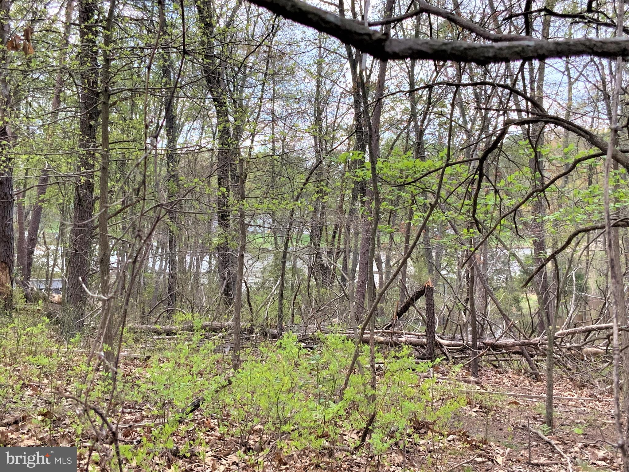 SYLVAN VIEW ON MAGOTHY - Residential