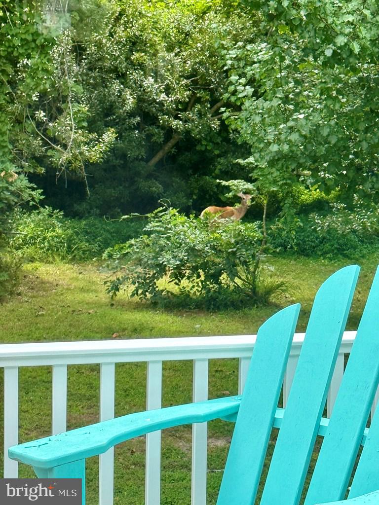 CHINCOTEAGUE - Residential