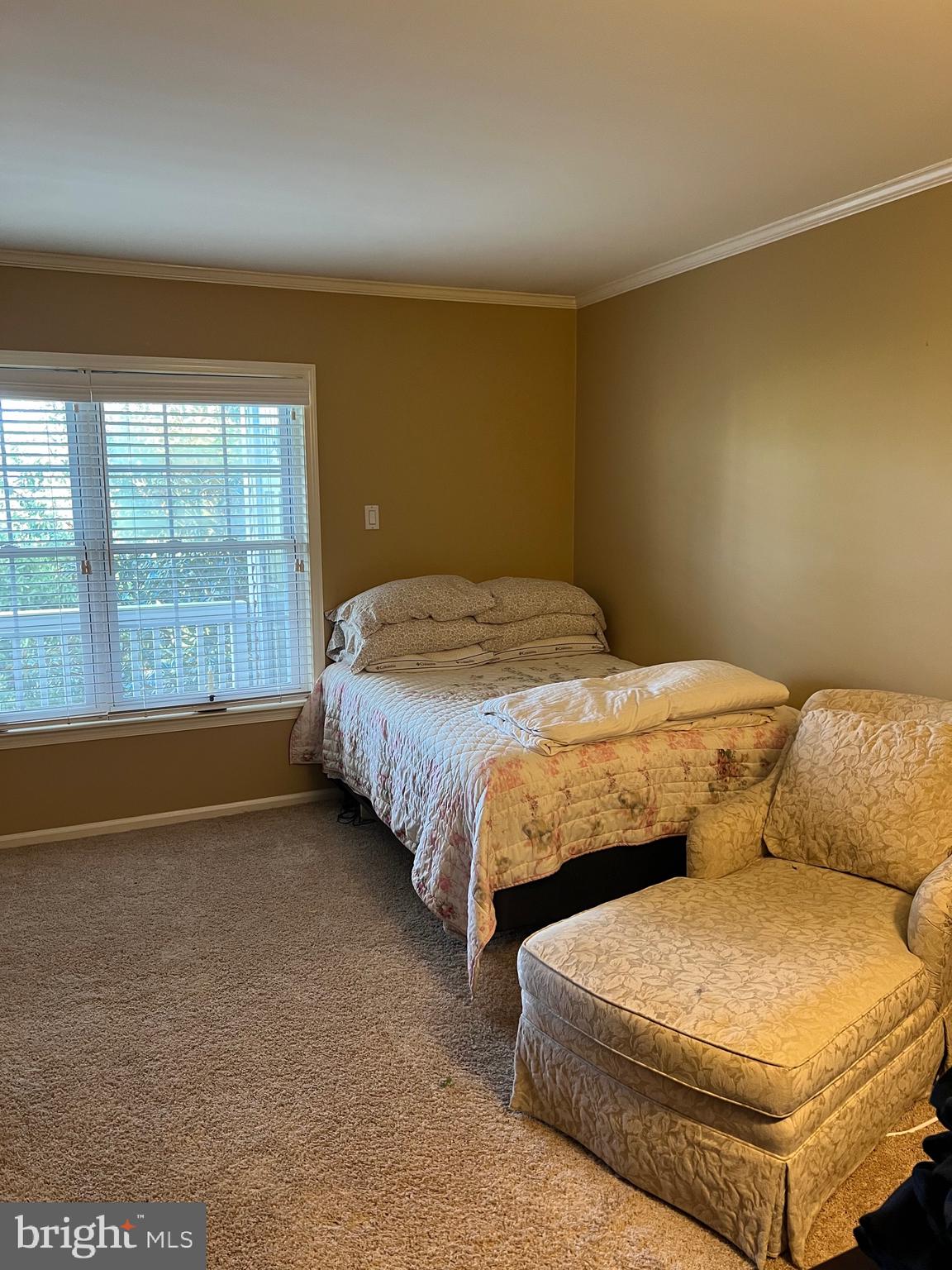 VILLAGE SHIRES - Residential