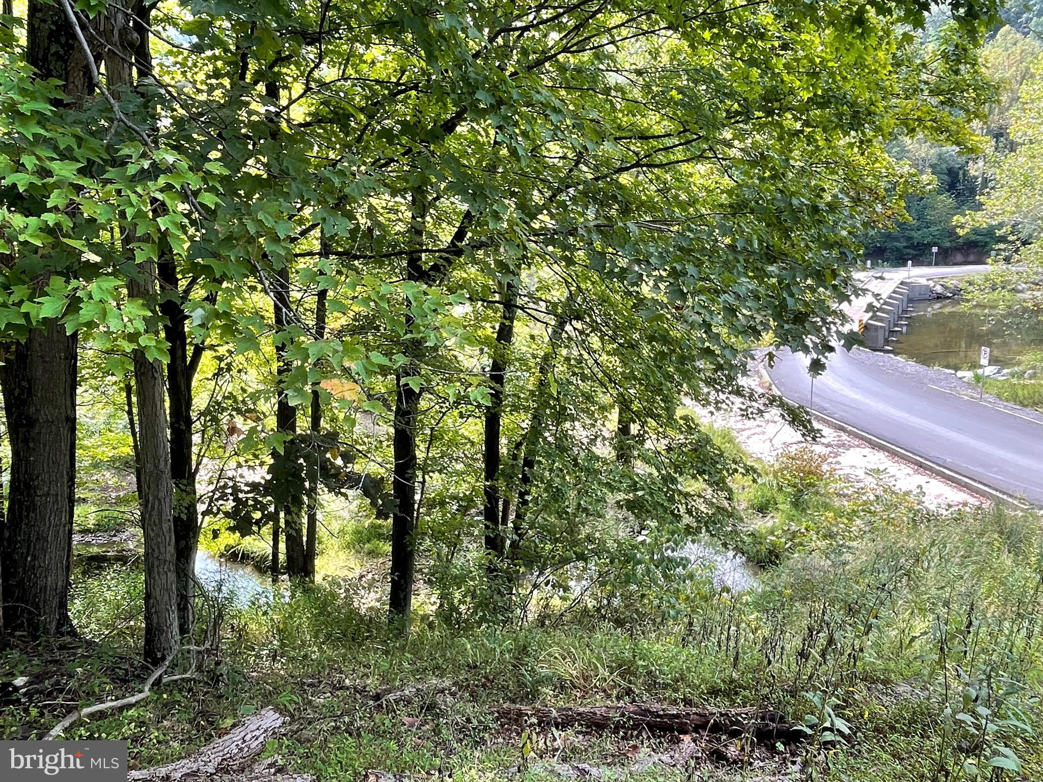 CACAPON CREEK - Residential