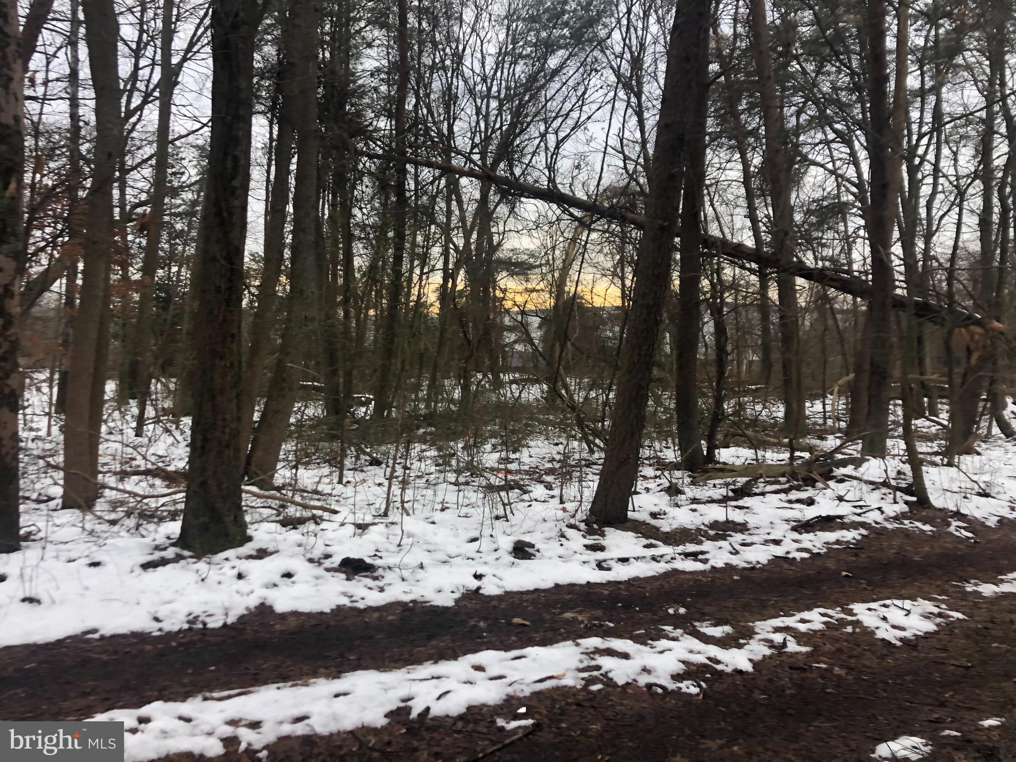 Approximately 9677 square feet/.22 acres of level W2 (light industrial) ground. Lots 28, 29, 30 and 31, Block L, Arundel Manor Subdivision. Lots are located on Howard Street. Zoning allows for many uses including offices, automotive, contractors and construction shops and yards and outdoor storage as a principal use. It is the prospective buyer's responsibility to check with Anne Arundel County to determine the process for preliminary plan, site development plan, grading plan, certificate of use, etc. Lots are located in subdivision across from BWI Airport and close to all major transportation routes (Routes 95, 695, 895, 97 and 295). Owner/Agent
