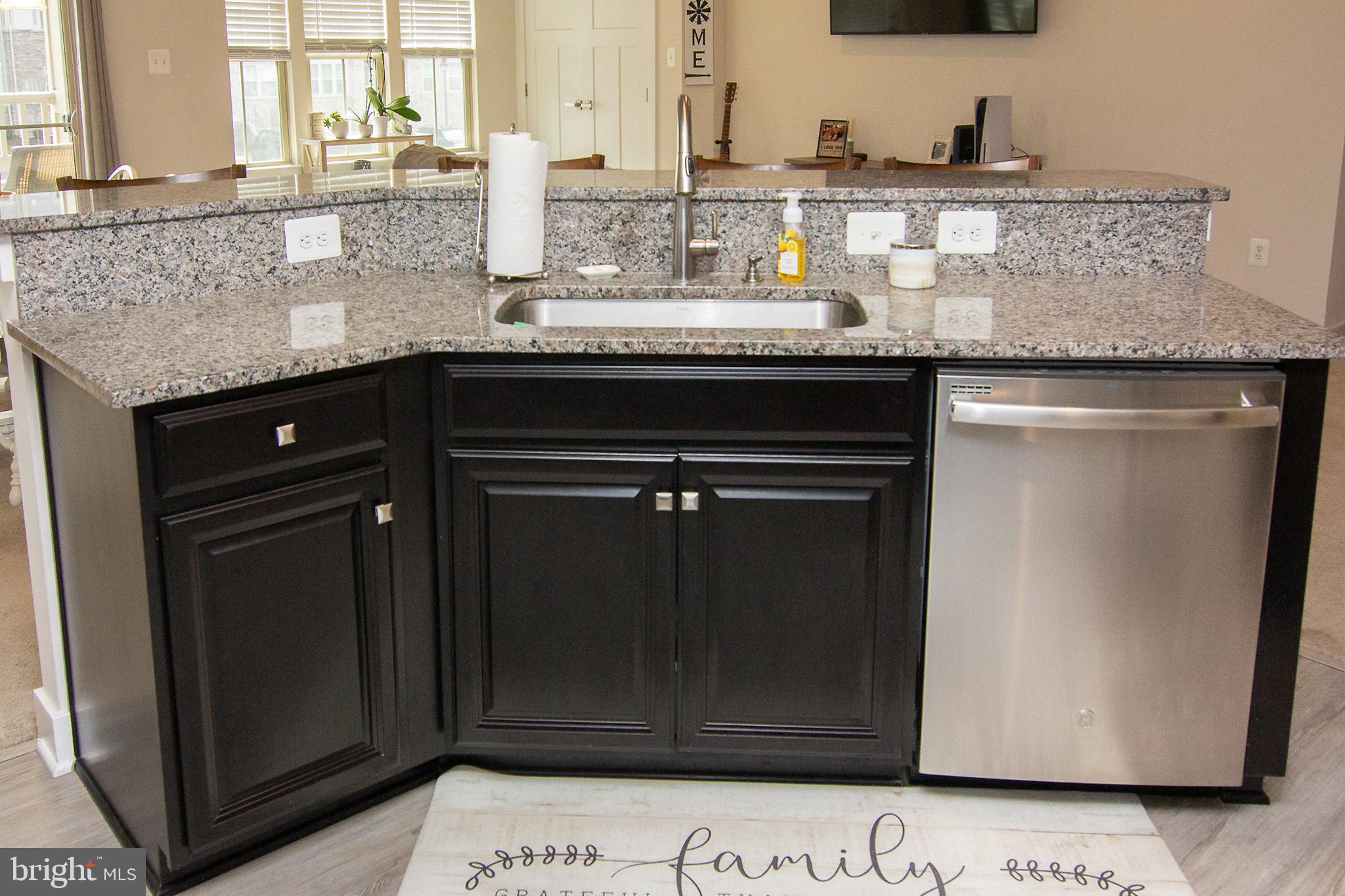 LAKE LINGANORE TOWN CENTER - Residential