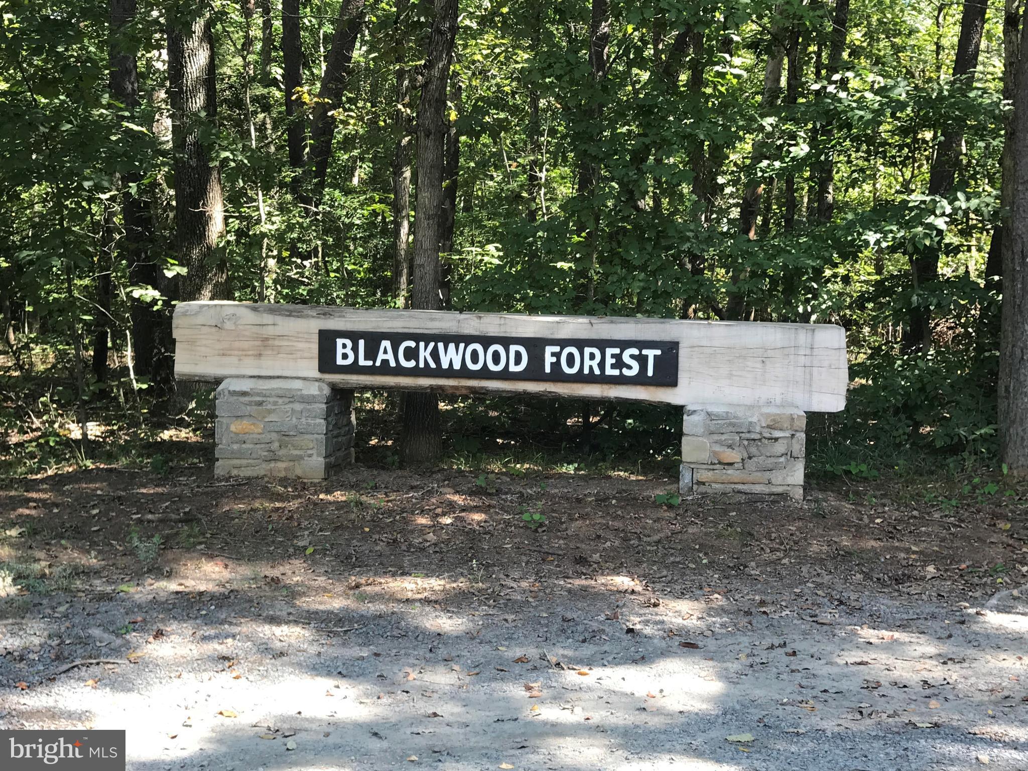 BLACKWOOD FOREST - Land