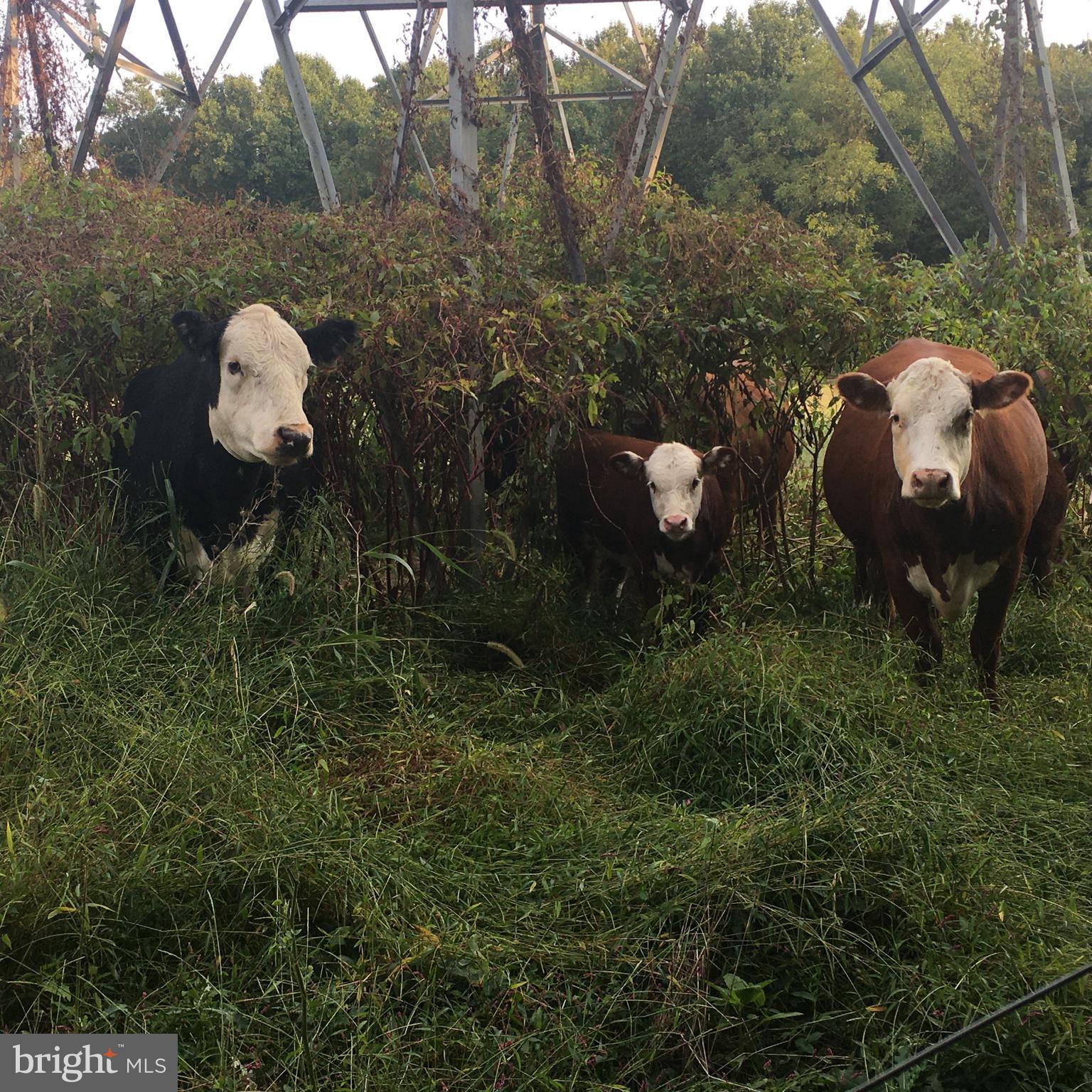 HURLINE FARMS - Residential