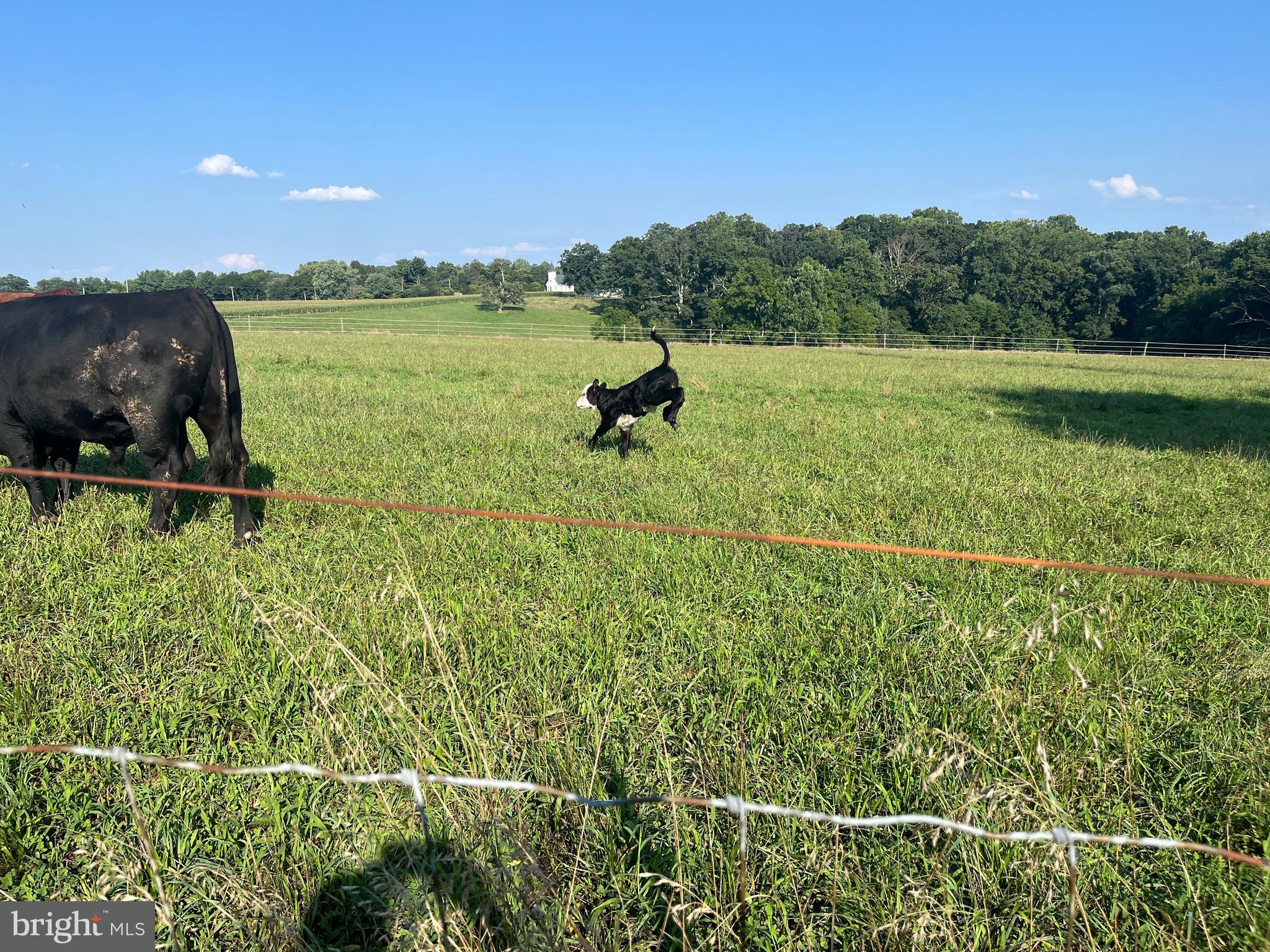 HURLINE FARMS - Residential