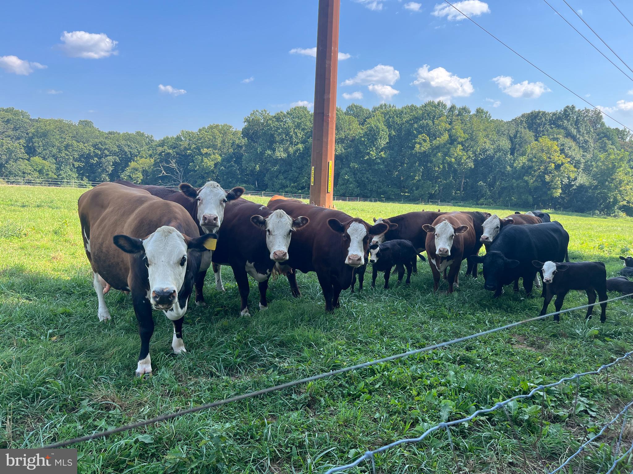 HURLINE FARMS - Residential