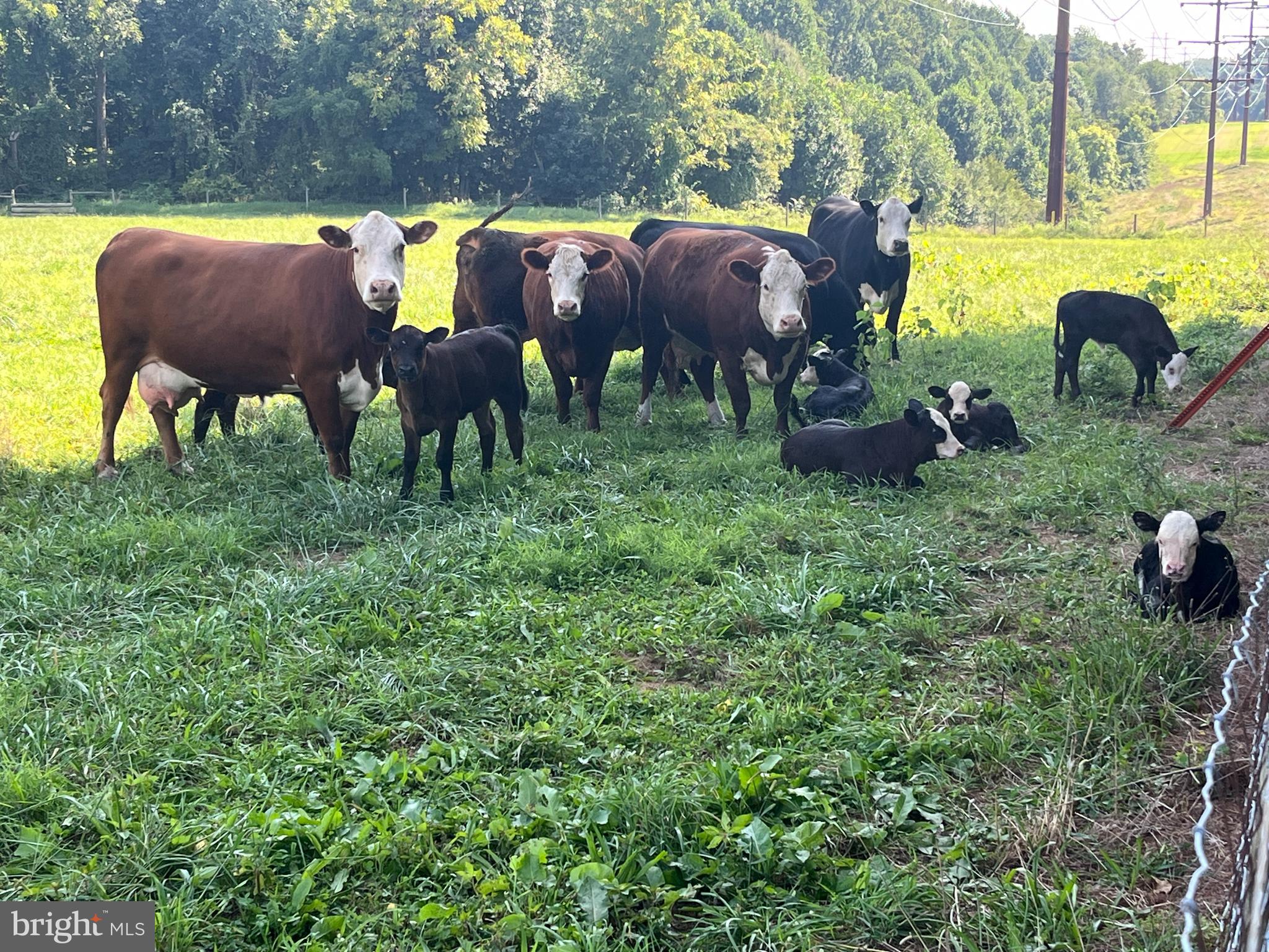 HURLINE FARMS - Residential