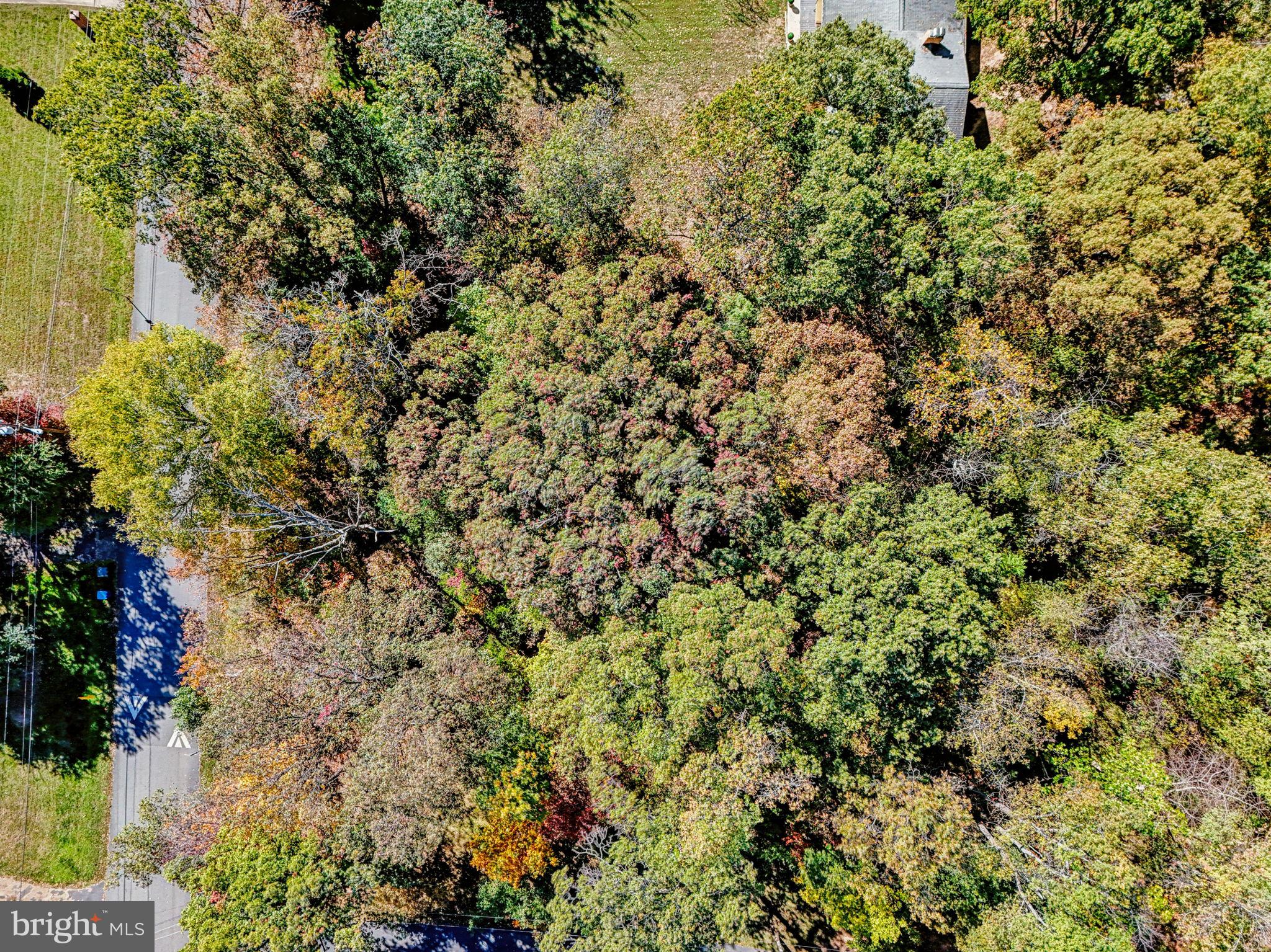 32 CEDAR DRIVE