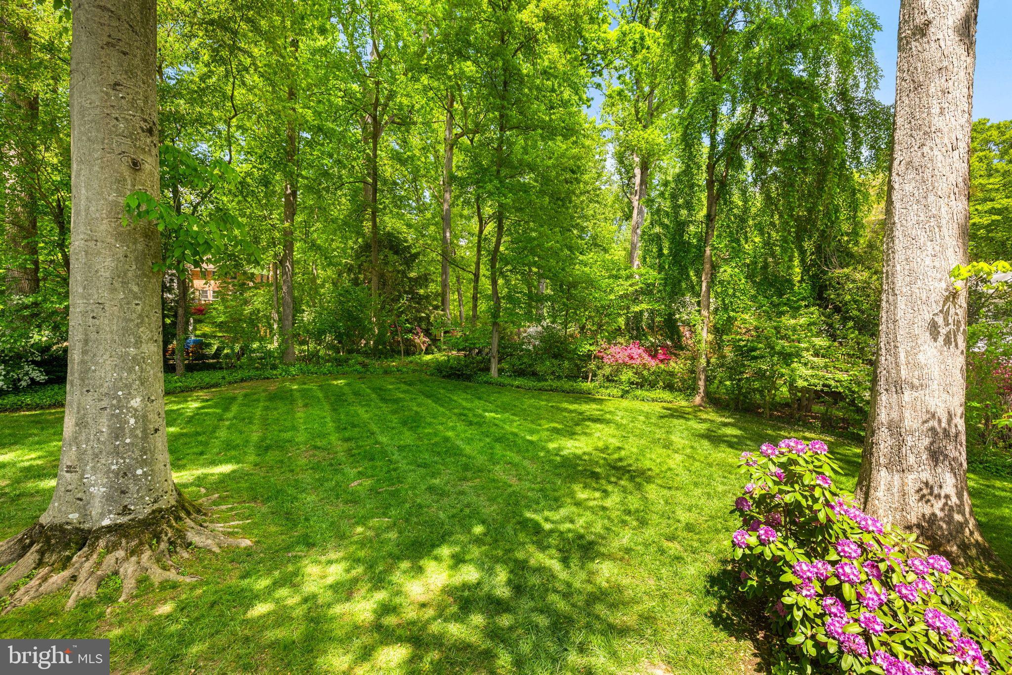 LAKE BARCROFT - Residential