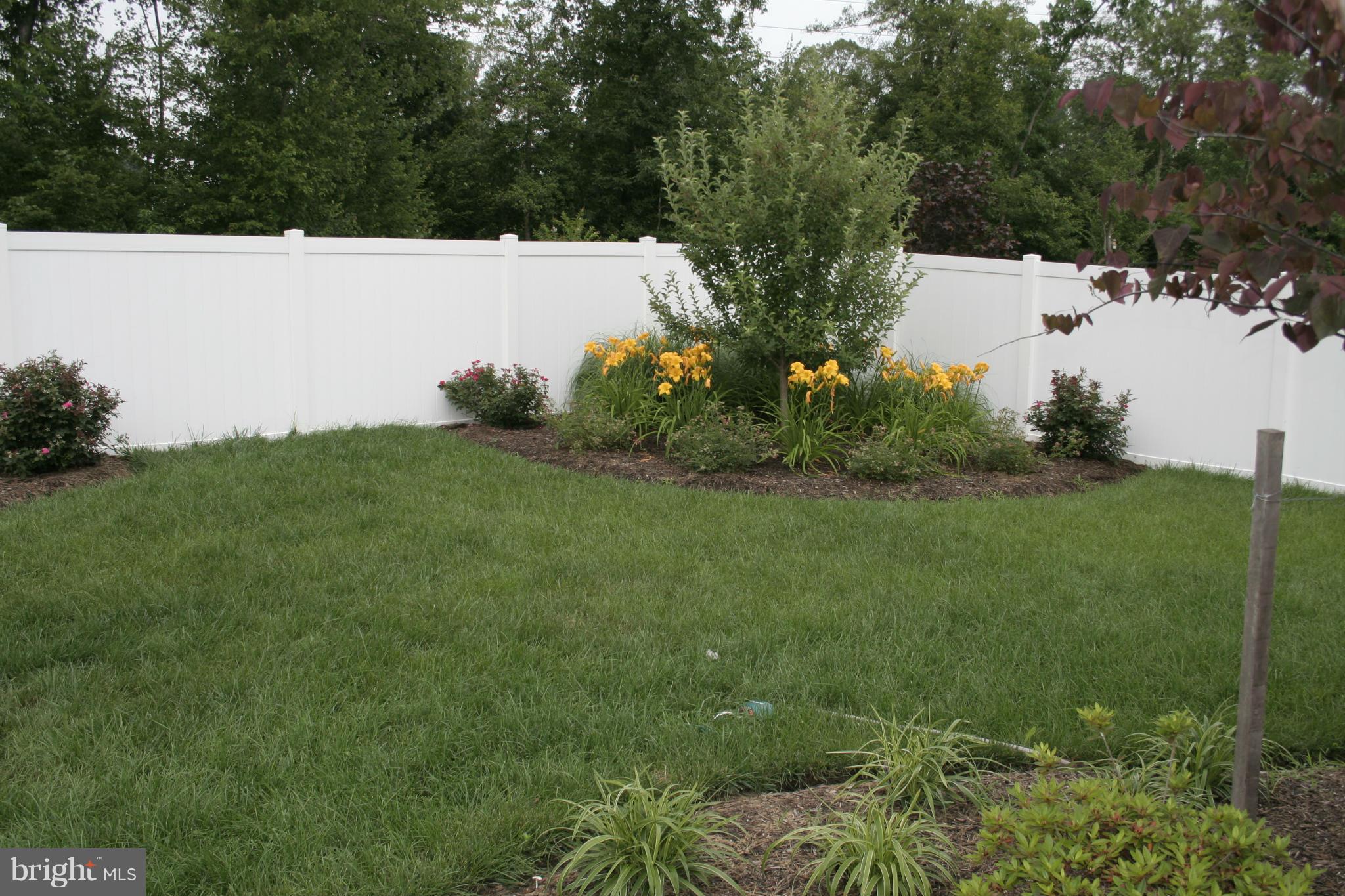 BROAD CREEK - Residential Lease