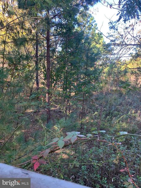 Vacant Land For Sale - 3061 Tremont Avenue<br/> EGG HARBOR TOWNSHIP, NJ 08234