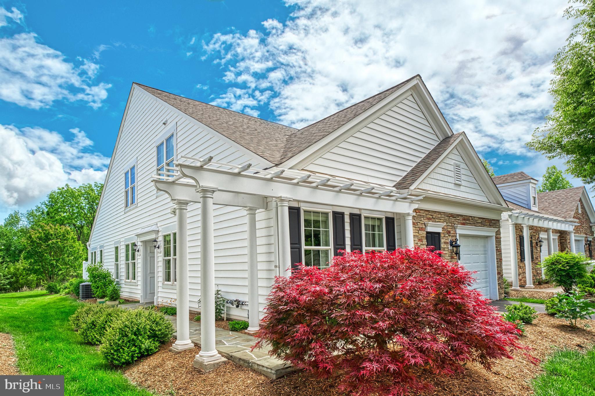 44458 MALTESE FALCON SQUARE