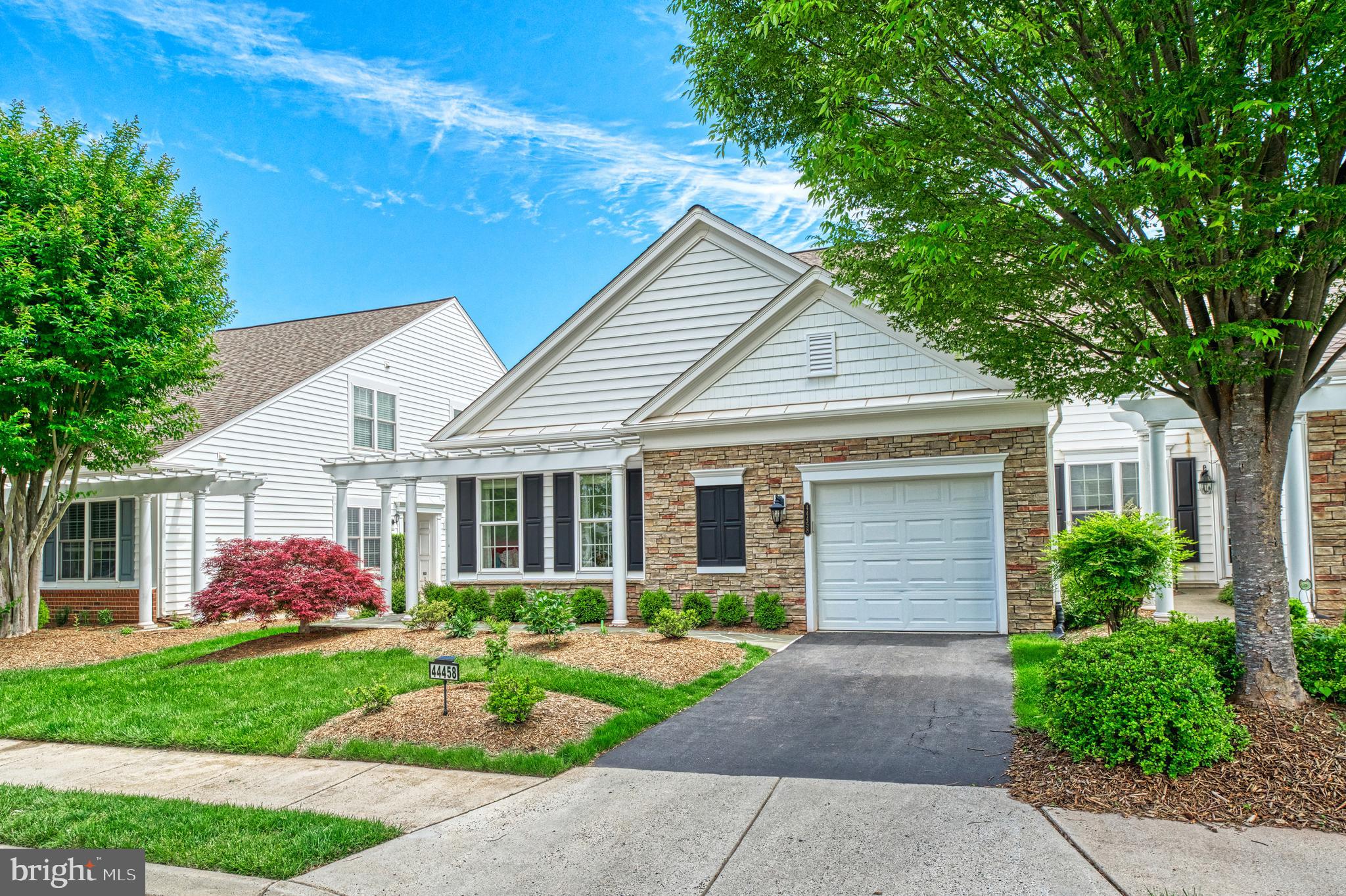 44458 MALTESE FALCON SQUARE