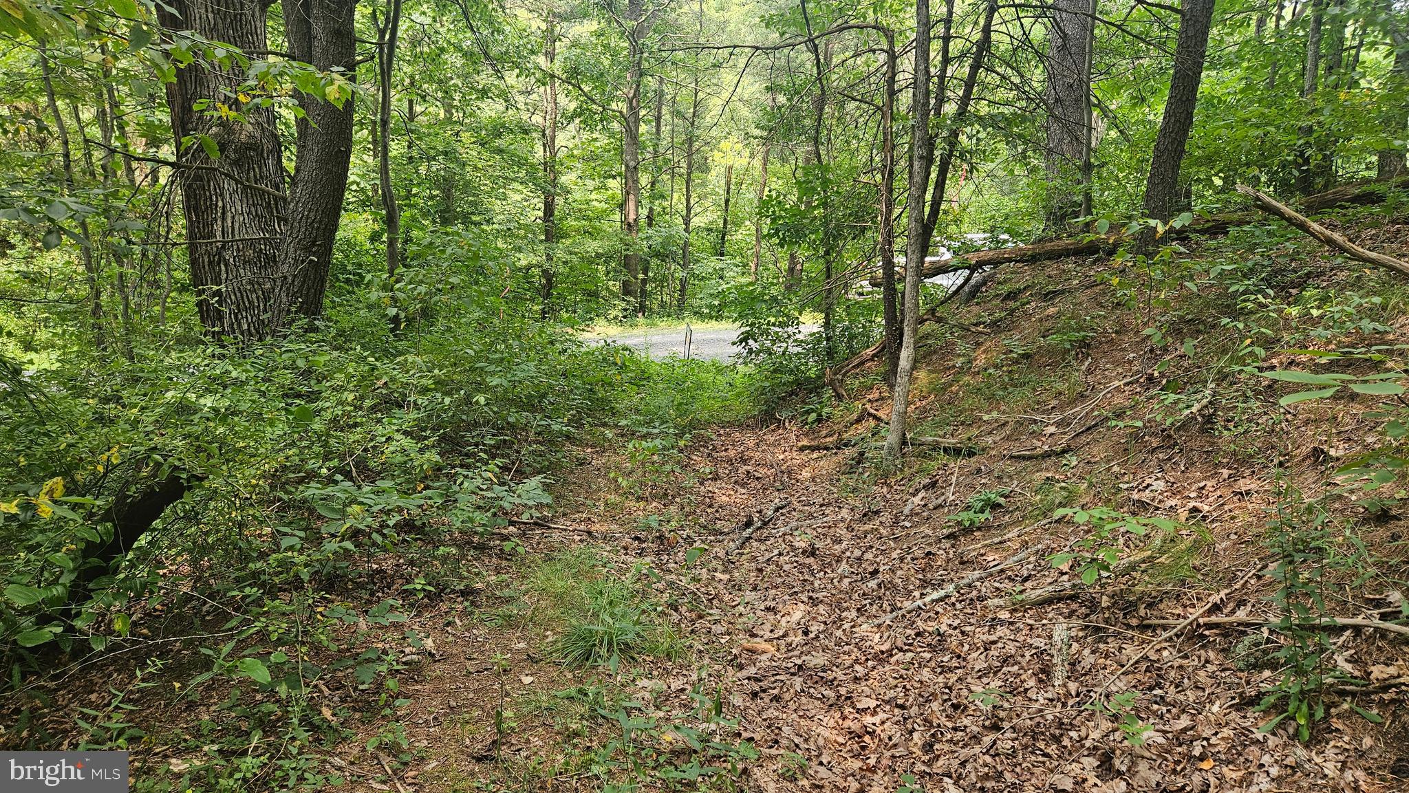00 PINEY CREEK ROAD