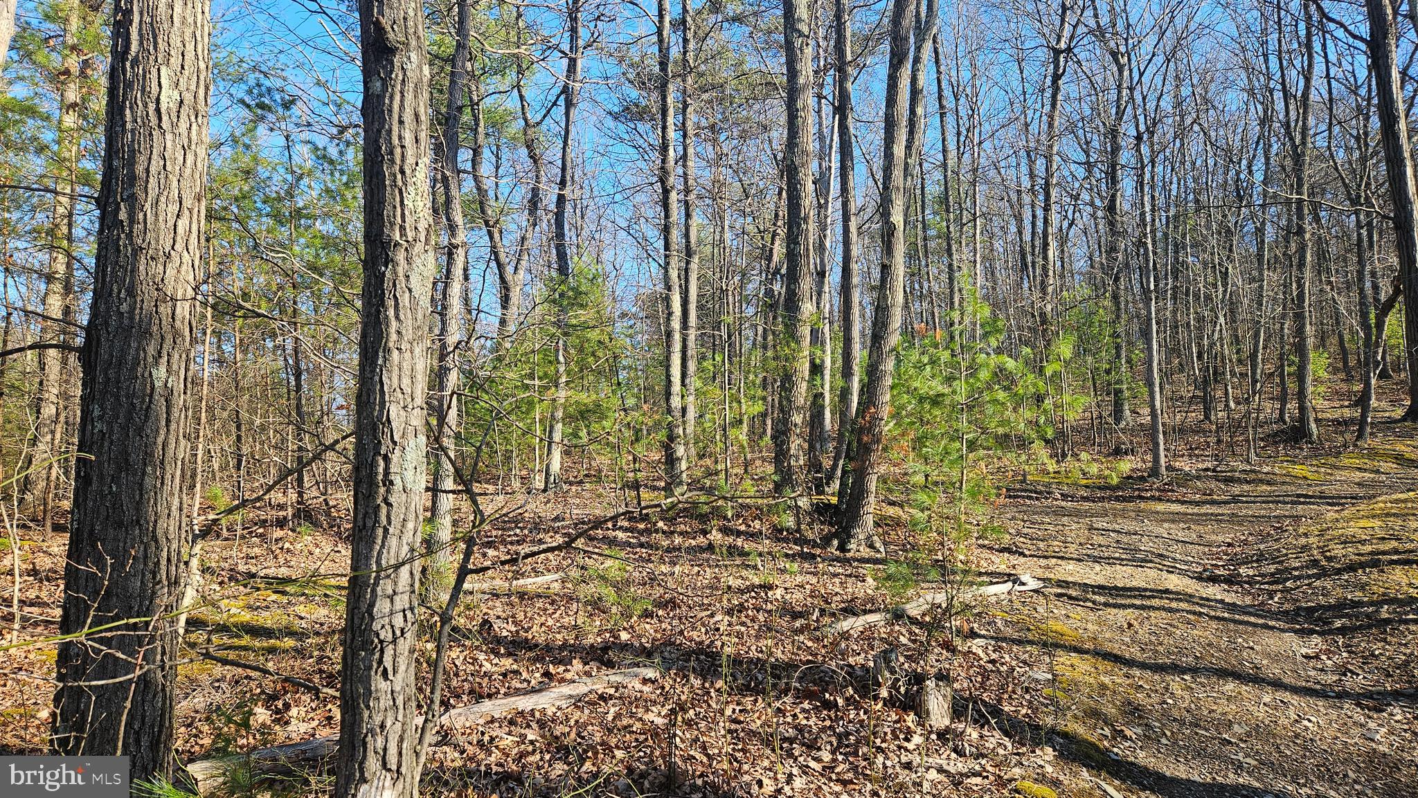 00 PINEY CREEK ROAD