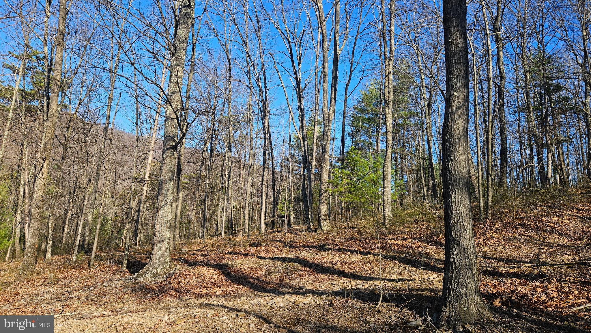 00 PINEY CREEK ROAD