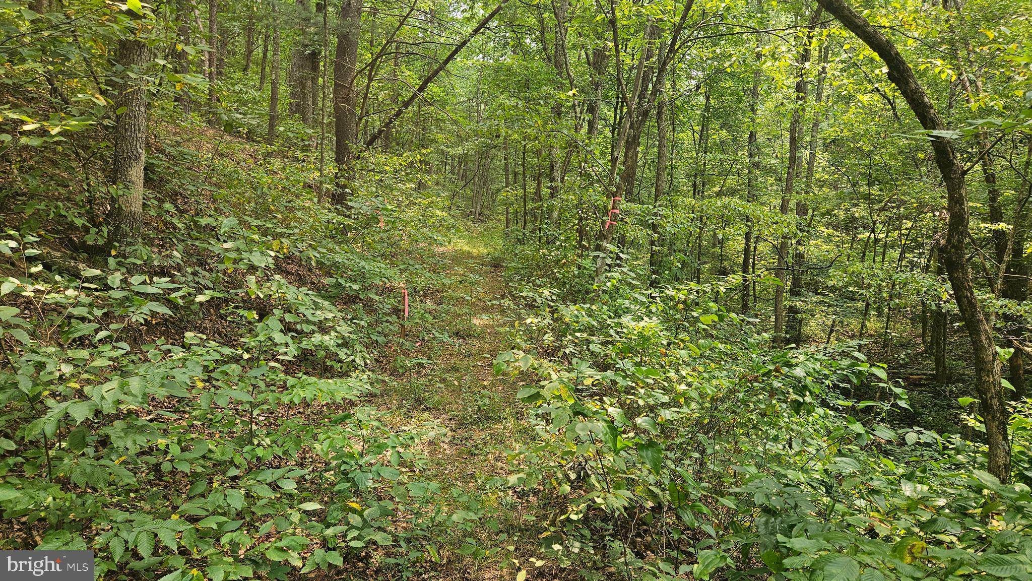 00 PINEY CREEK ROAD