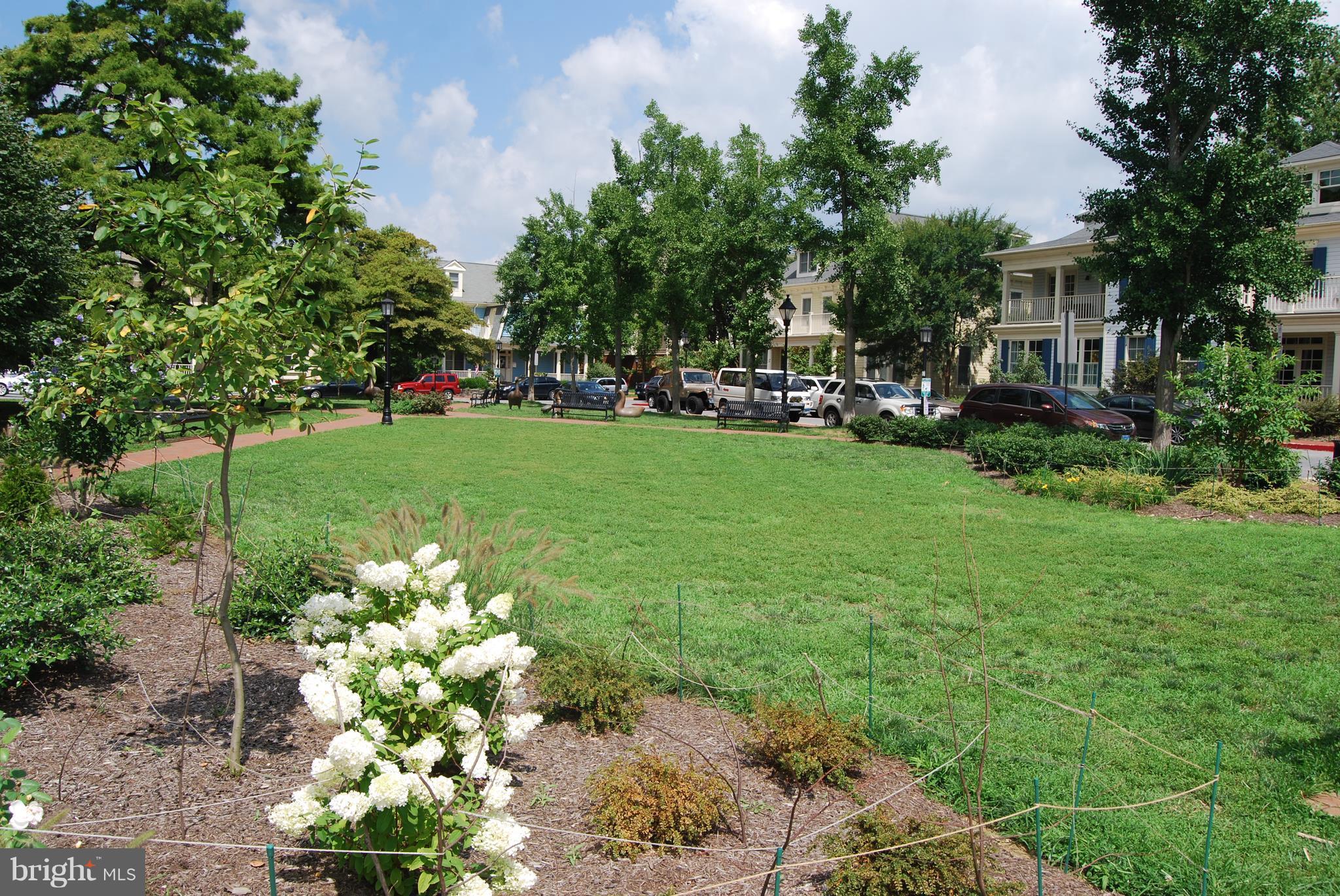 MURRAY HILL - Residential