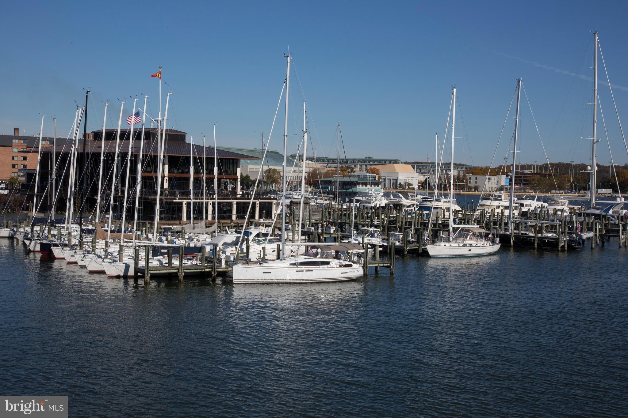 MURRAY HILL - Residential