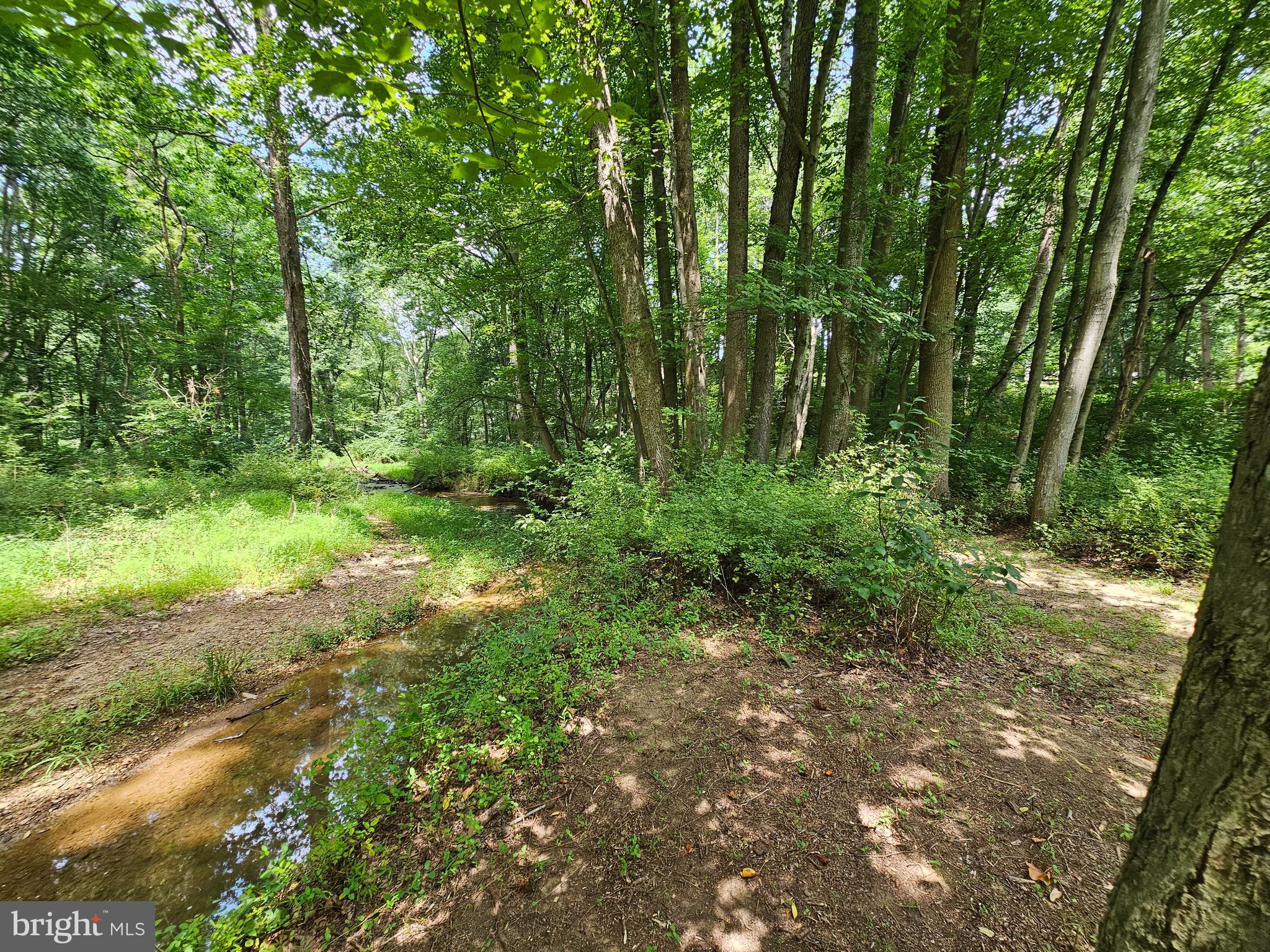 PINEY RUN ESTATES - Residential