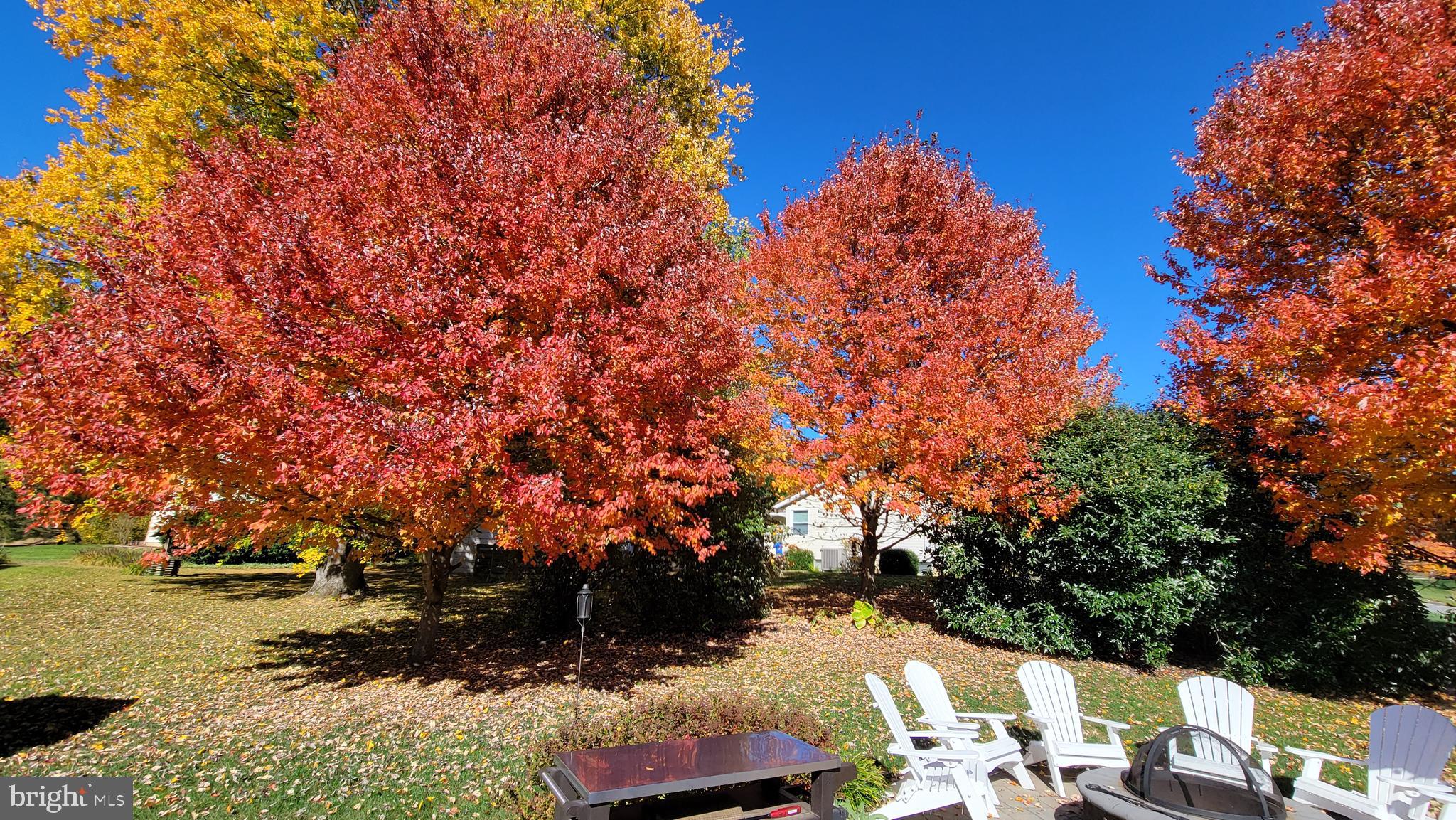 PINEY RUN ESTATES - Residential