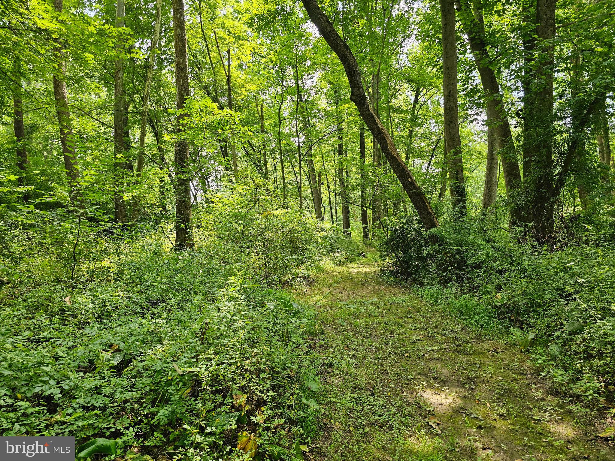 PINEY RUN ESTATES - Residential