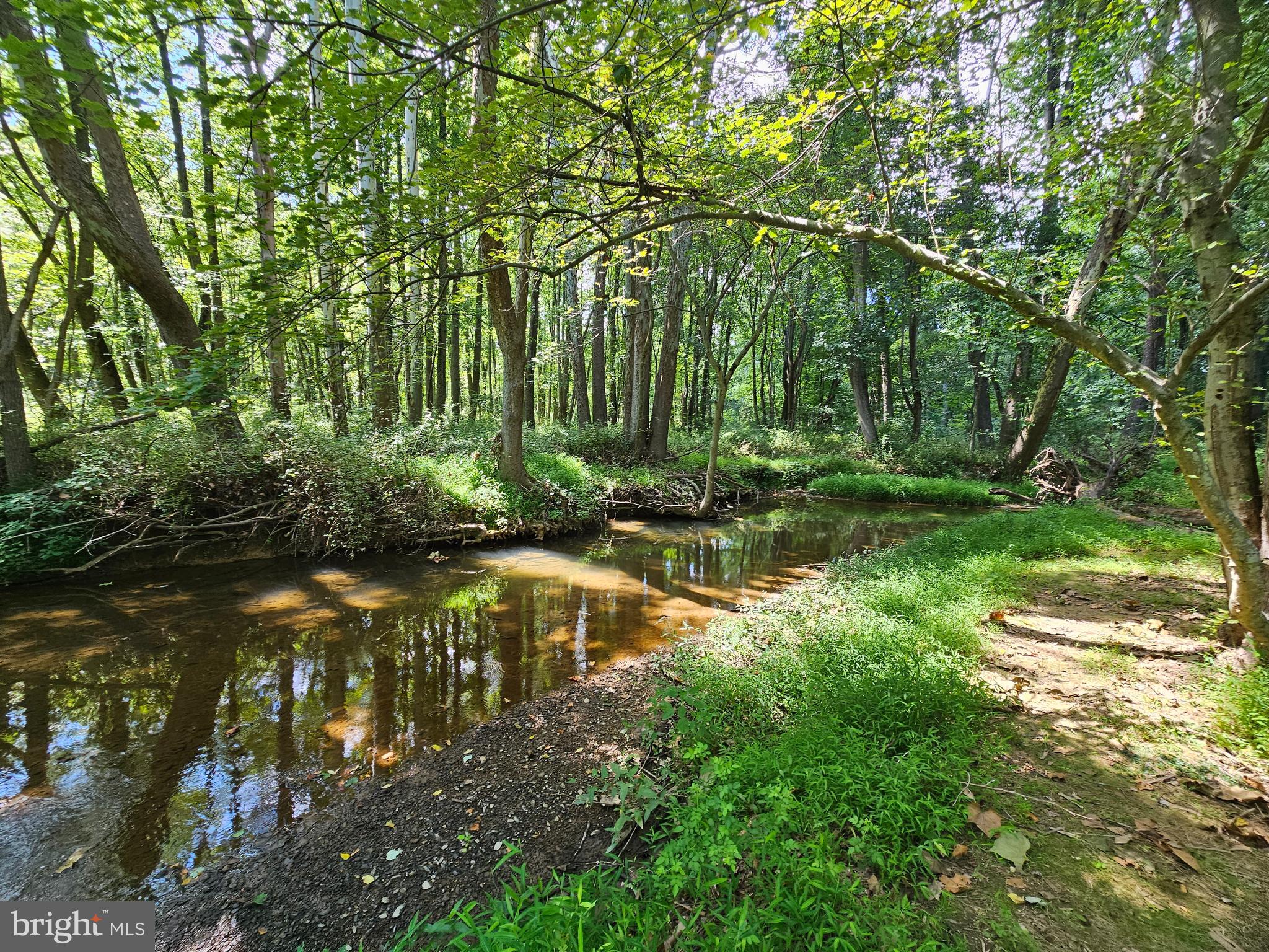 PINEY RUN ESTATES - Residential