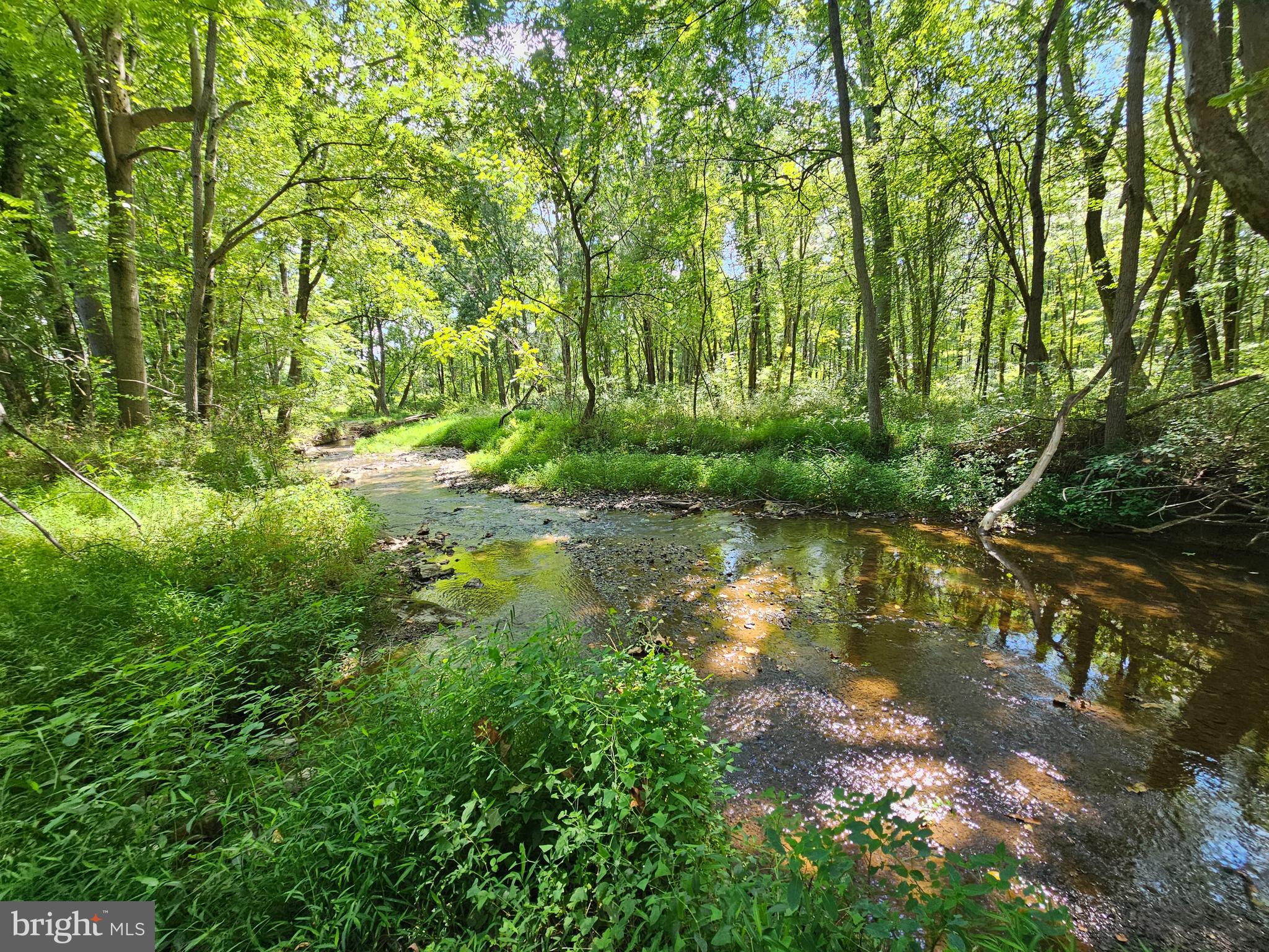 PINEY RUN ESTATES - Residential