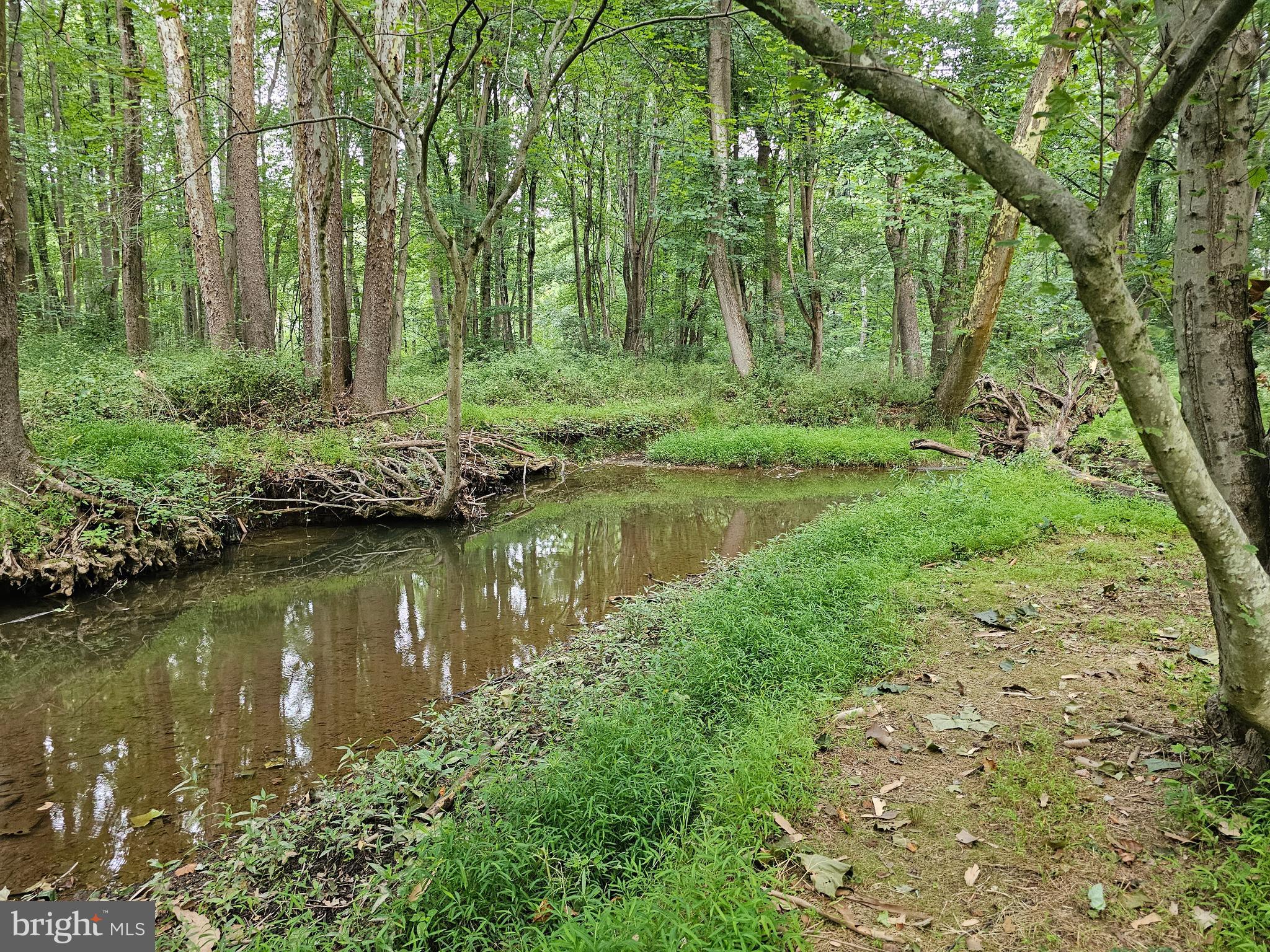 PINEY RUN ESTATES - Residential