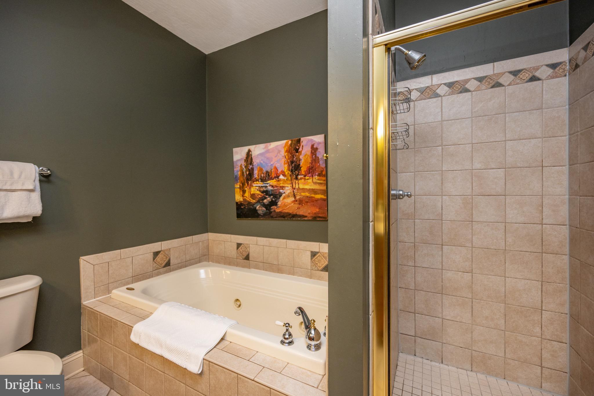 LAKE POINTE AT WISP - Residential