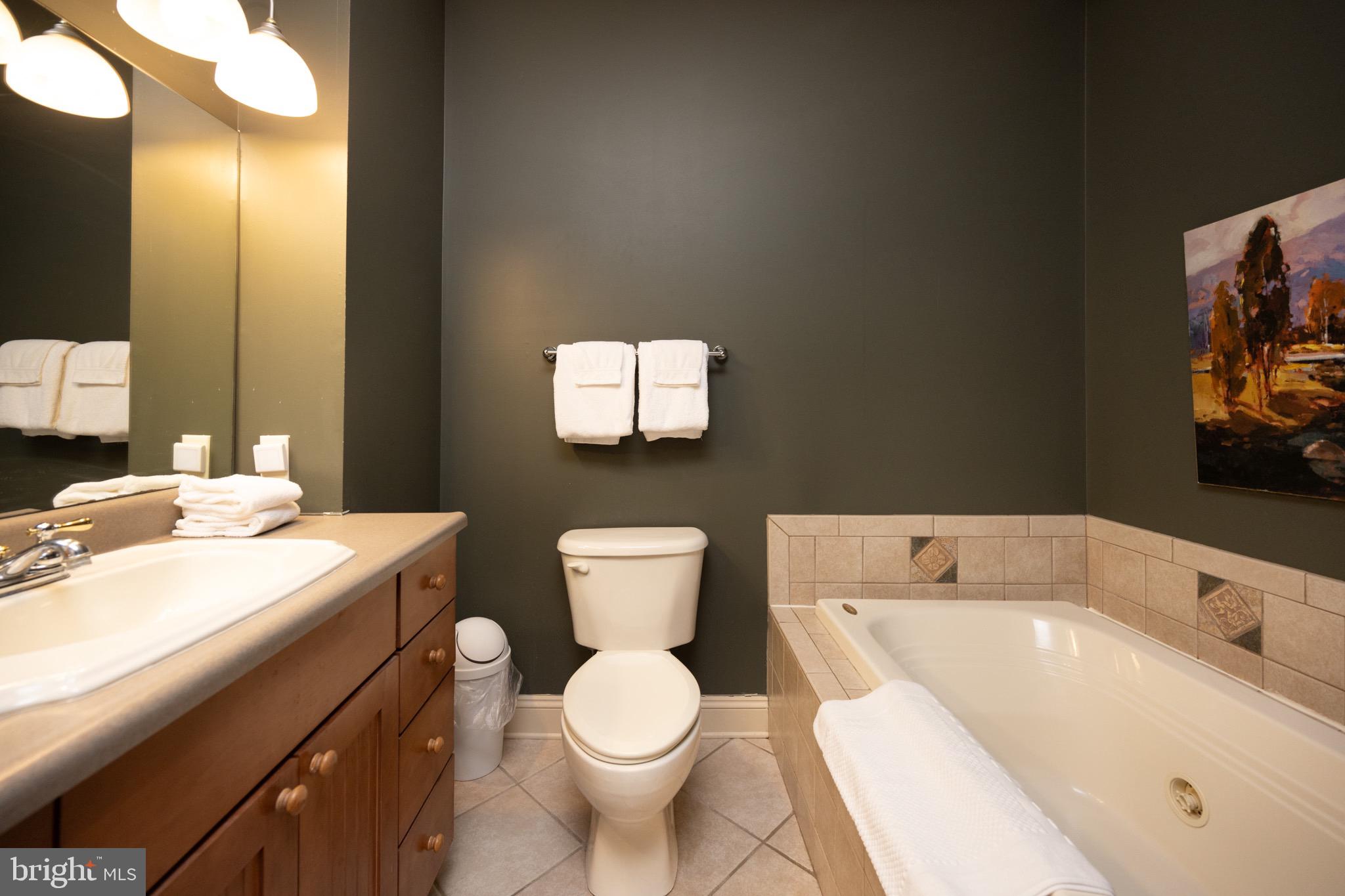 LAKE POINTE AT WISP - Residential