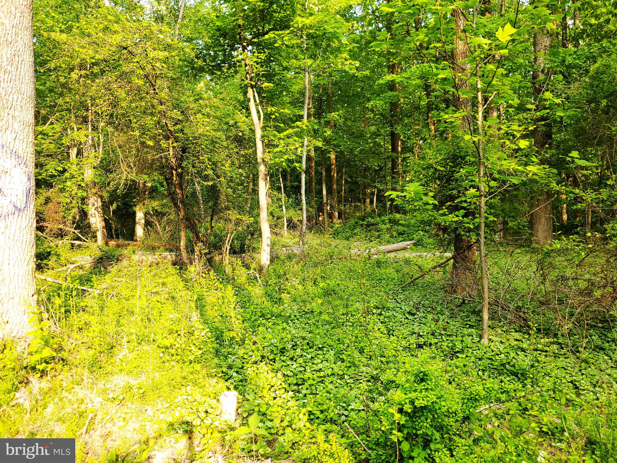 EAST GREENVILLE - Residential