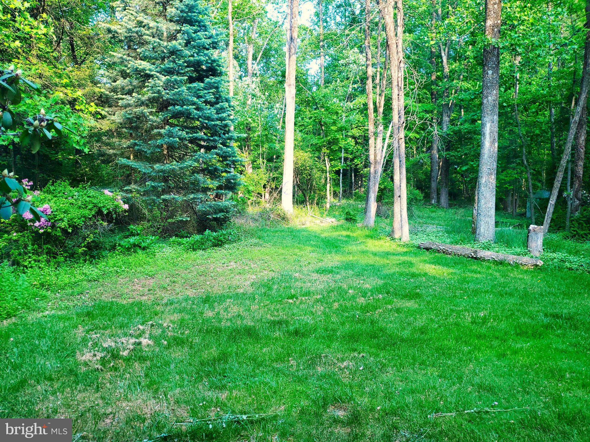 EAST GREENVILLE - Residential