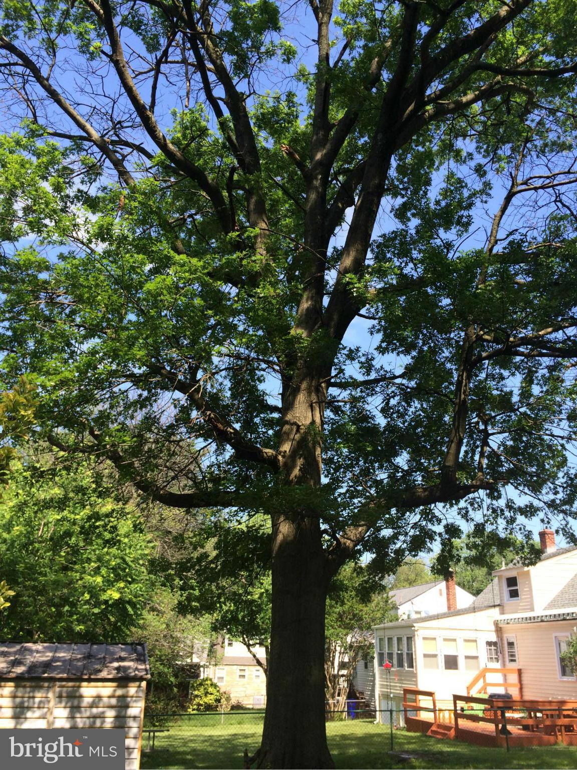 OAKVIEW - Residential