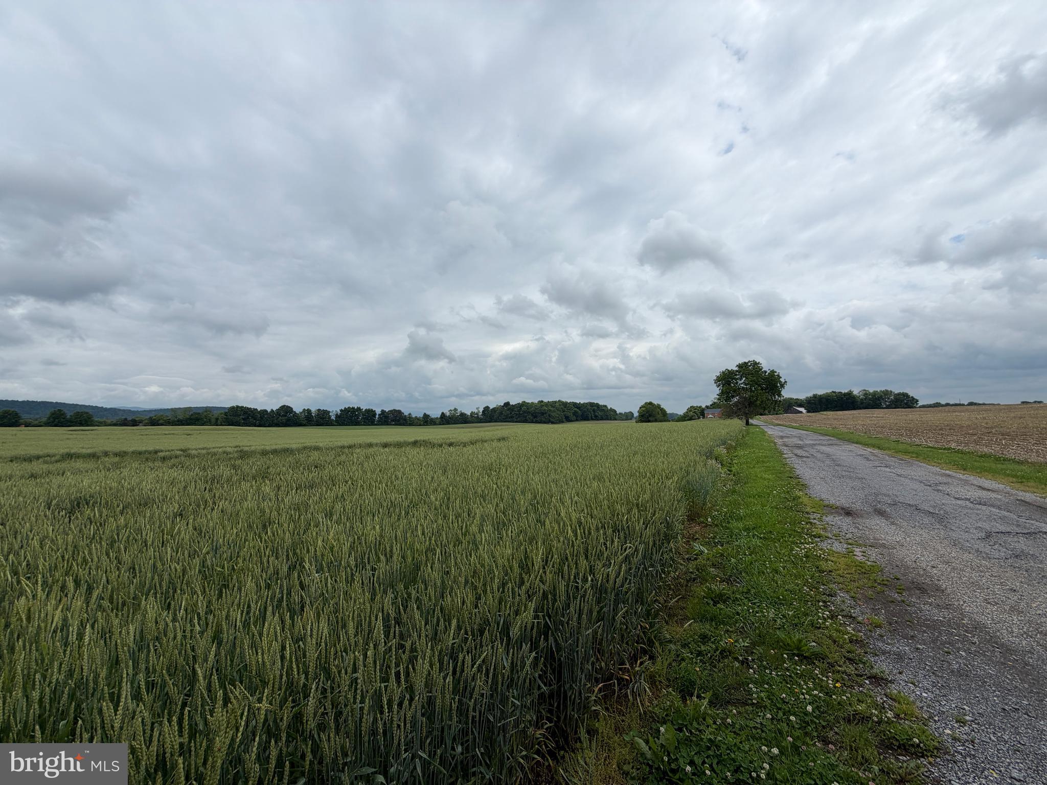 NONE AVAILABLE - Farm