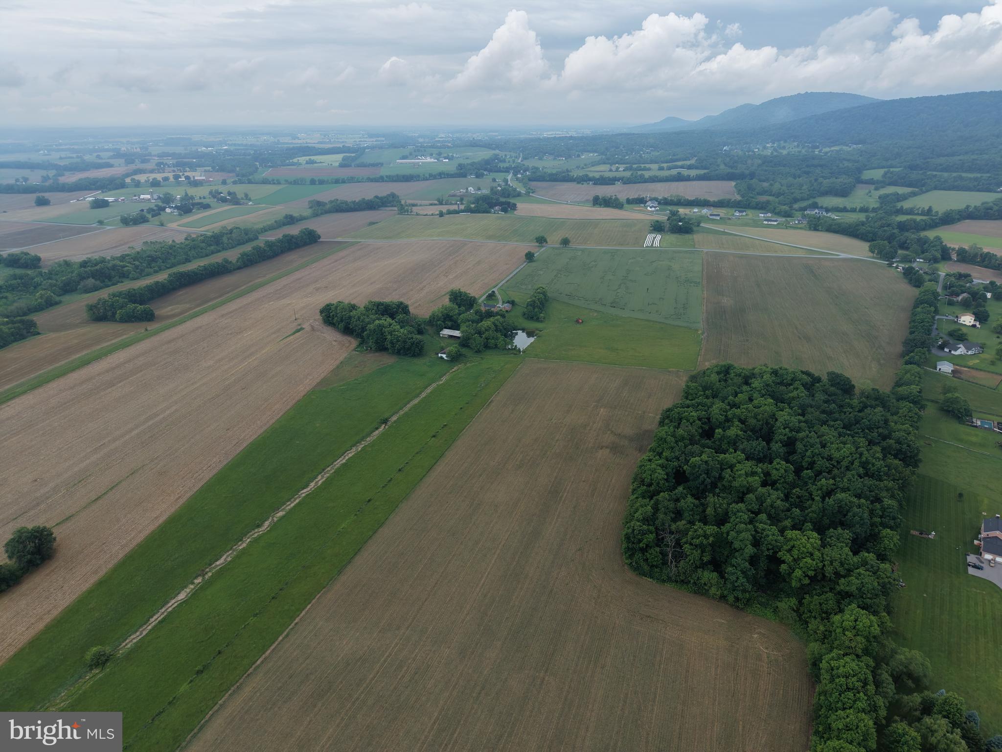 NONE AVAILABLE - Farm