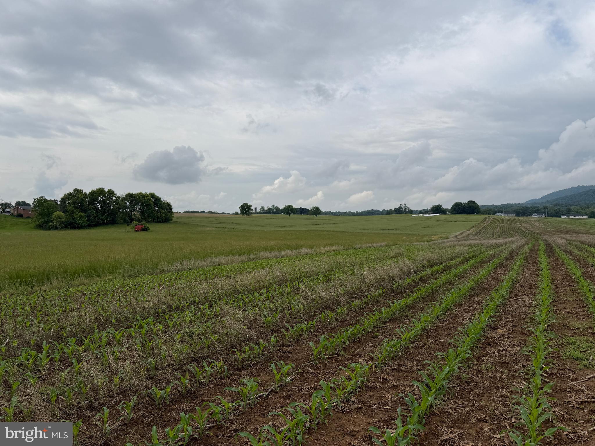 NONE AVAILABLE - Farm