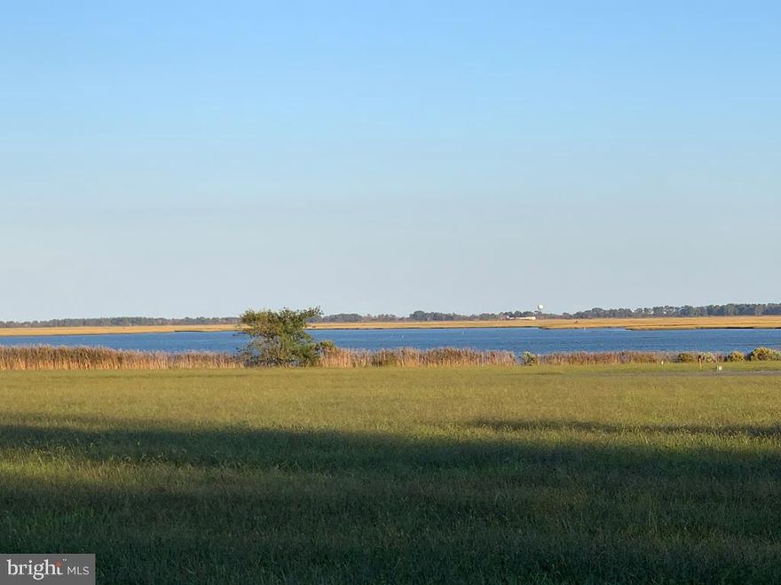 Nestled along the picturesque seaside of Eagle Sound Est., this expansive one-acre lot offers breathtaking panoramic water vistas, making it an ideal spot for witnessing spectacular rocket launches. Boasting a 4-bedroom septic system already in place, this prime parcel invites you to bring your architectural dreams to life. Additionally, residents of this coastal community enjoy exclusive access to a charming pier, perfect for leisurely fishing and crabbing adventures. Don't miss the opportunity to create your waterview oasis in this coveted locale! This area currenlty does not require flood insurance.